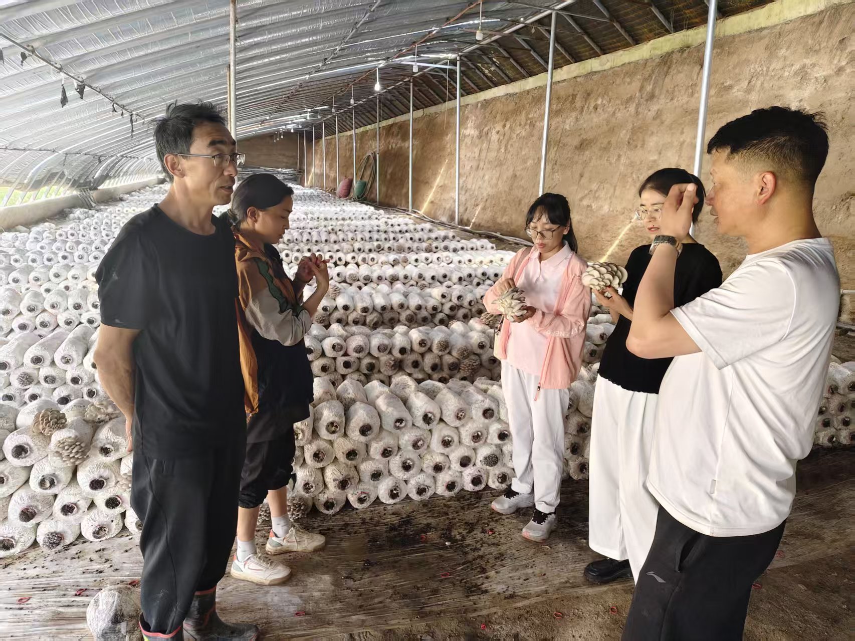 蘑菇房_20251225133309_14_563