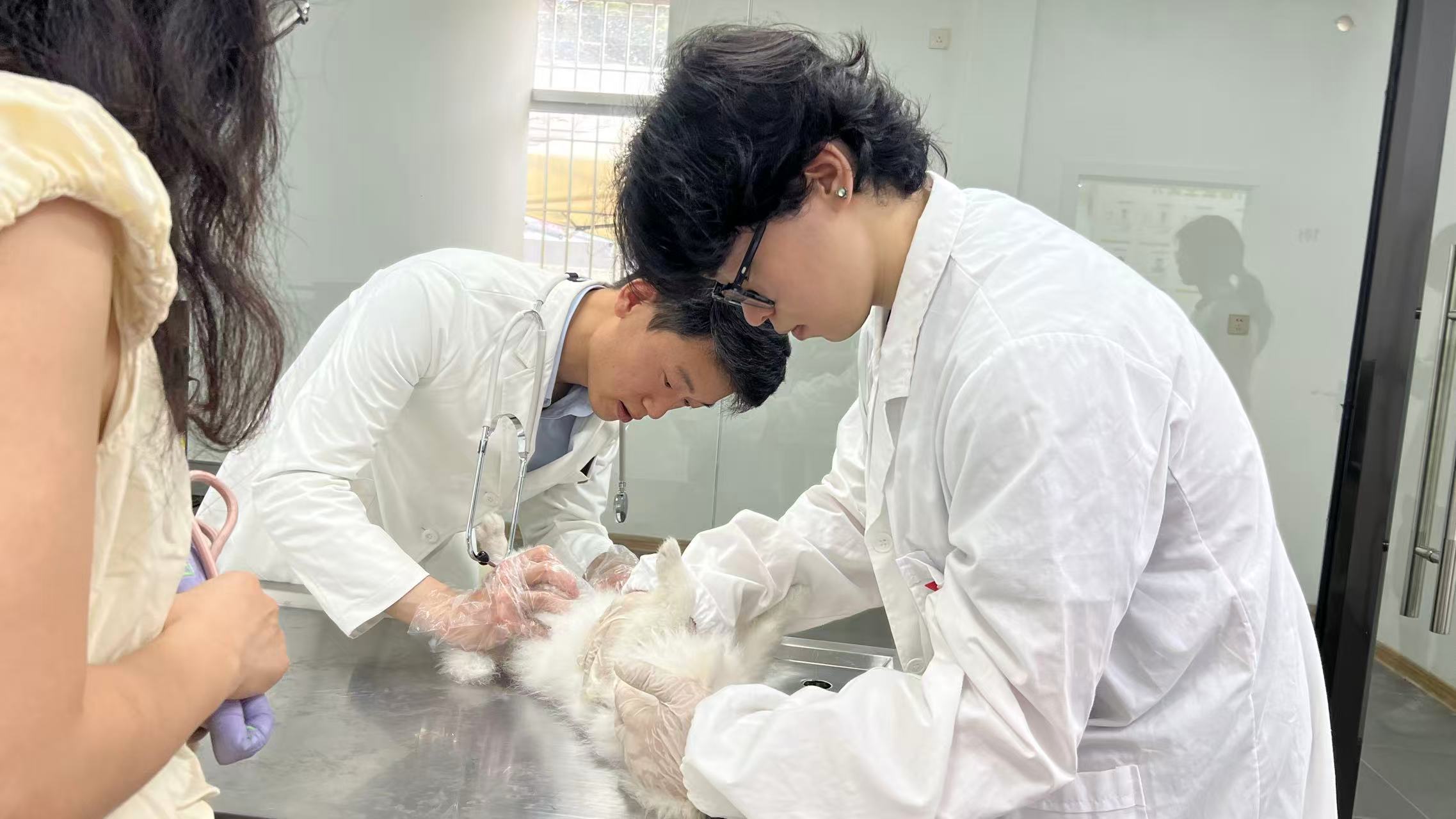 微信图片_20260119195653