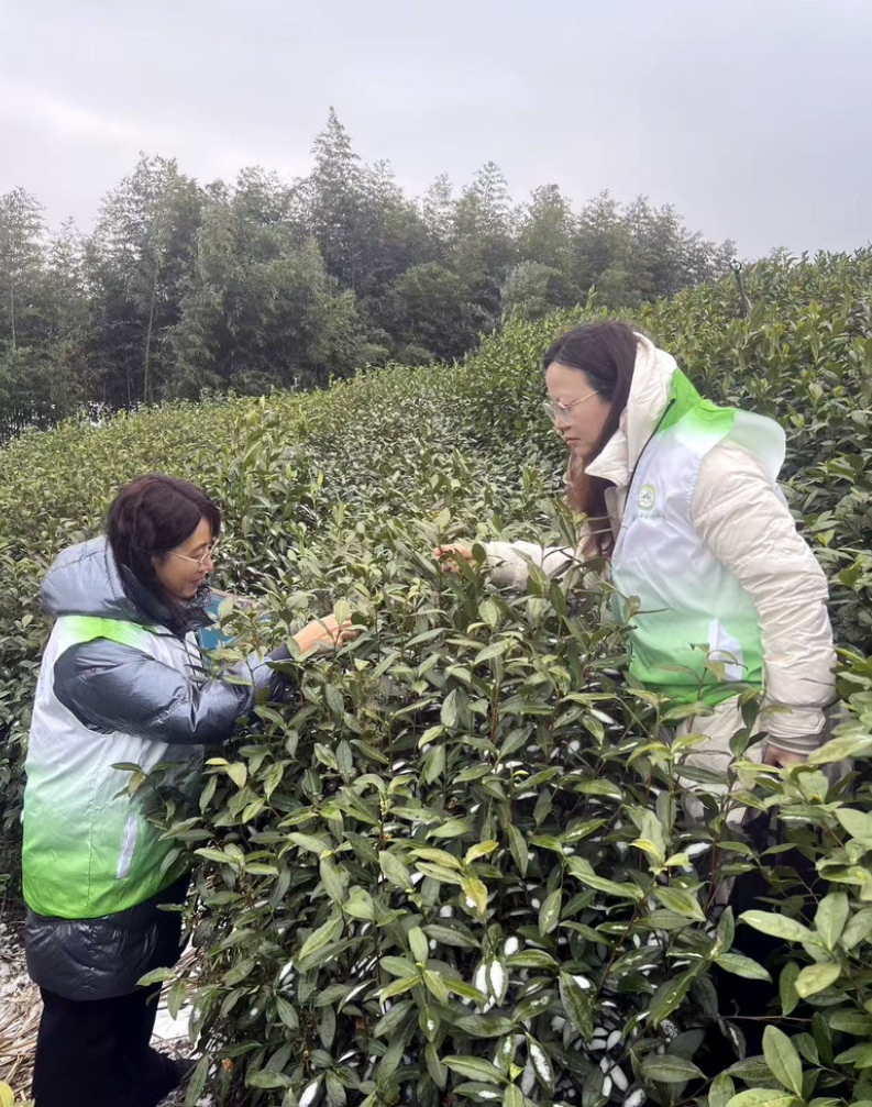 1769306200270 1769306200270