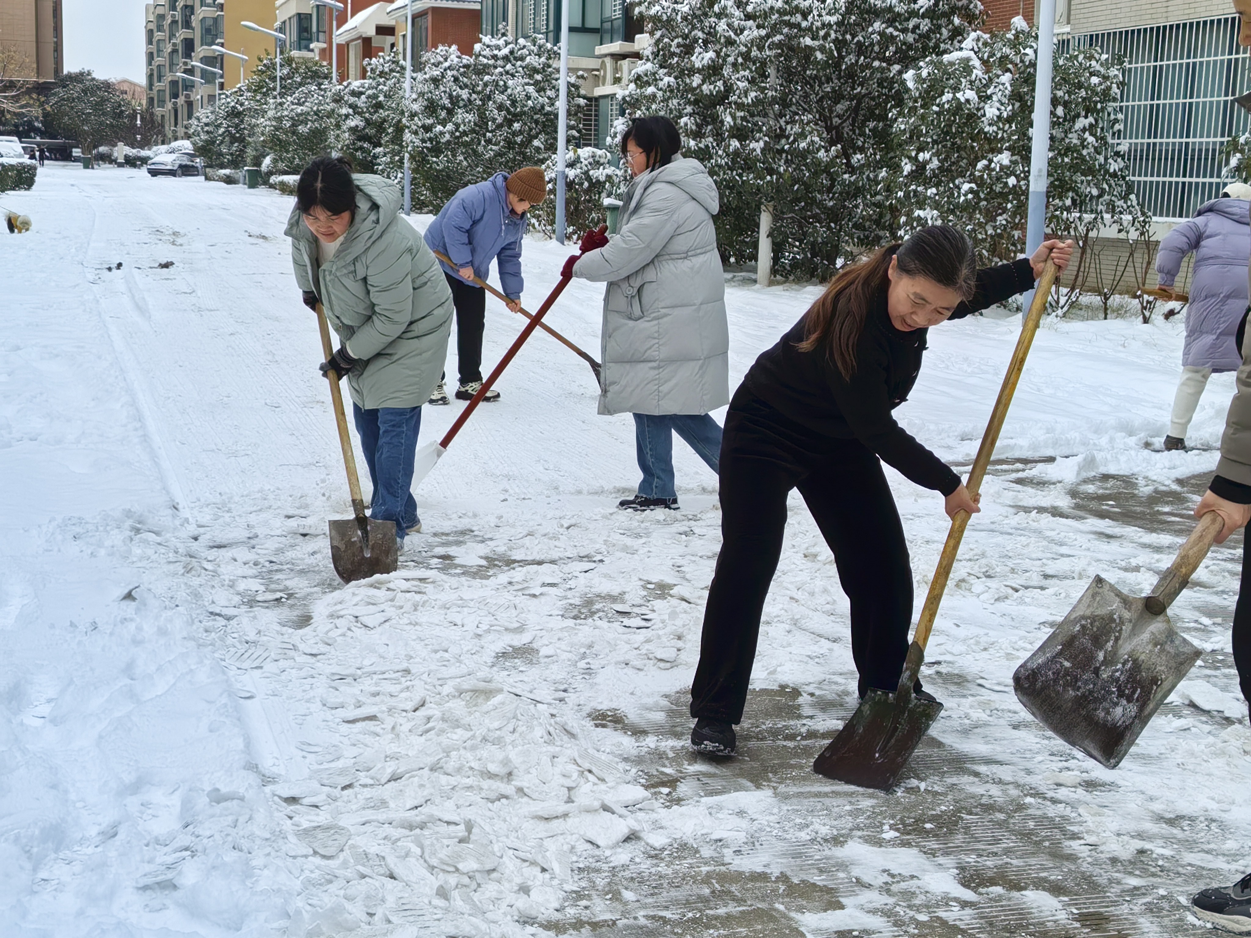 微信图片_20260120195351