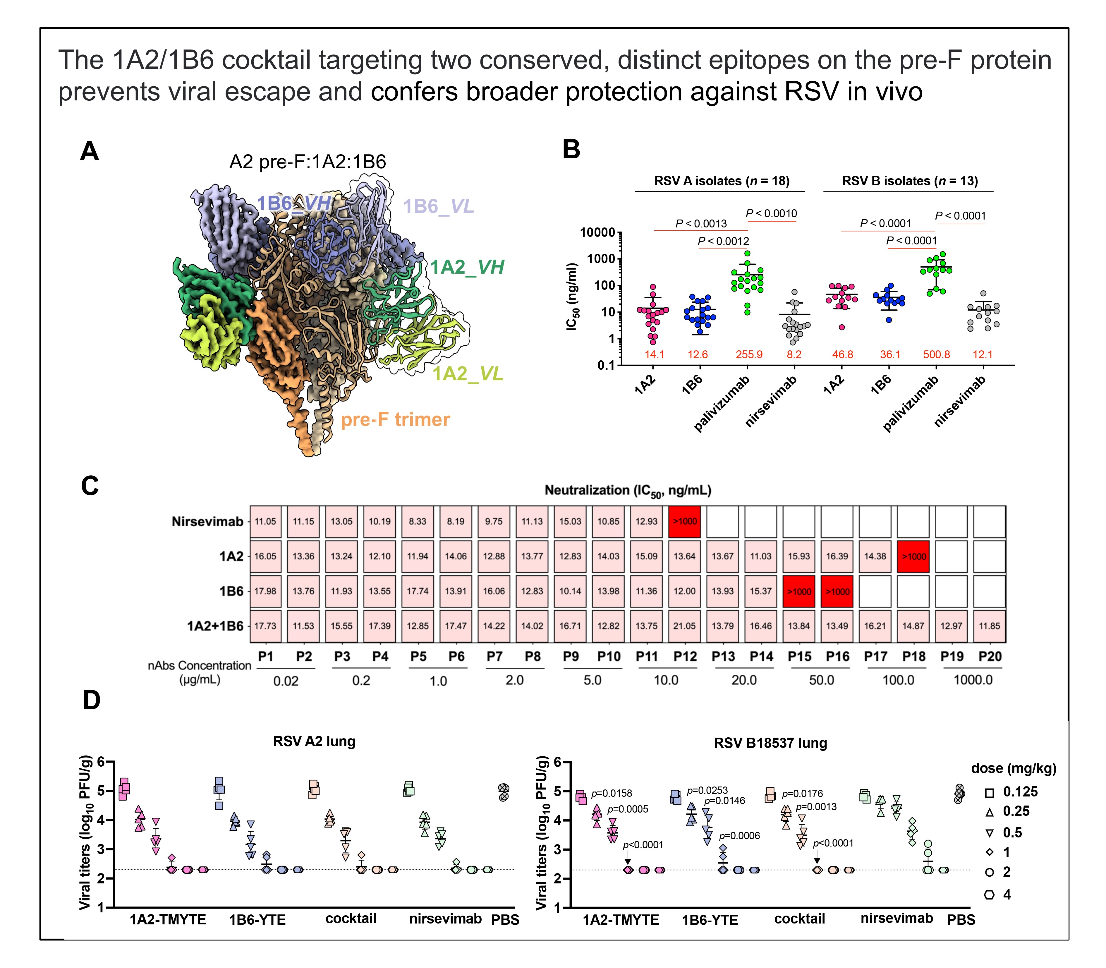 图 1A2 1B6组合抑制了病毒逃逸，并提供了更广谱的体内保护