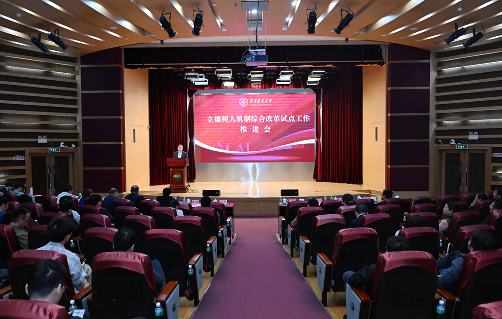 研讨交流环节会场