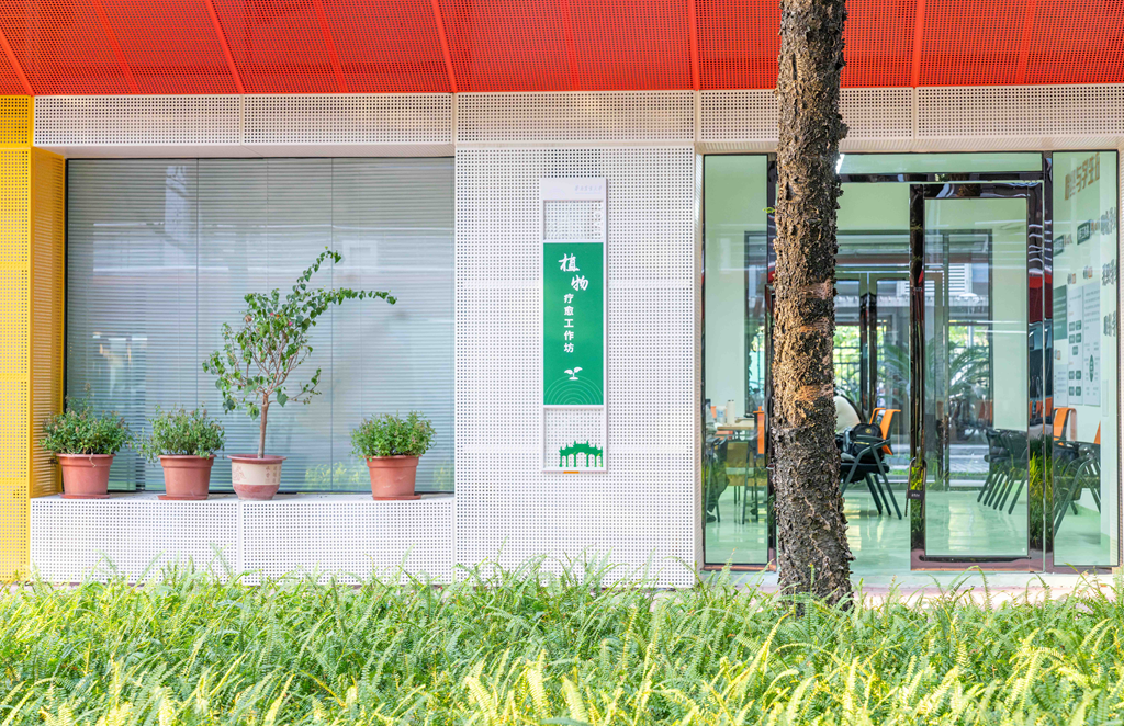 植物疗愈工作坊