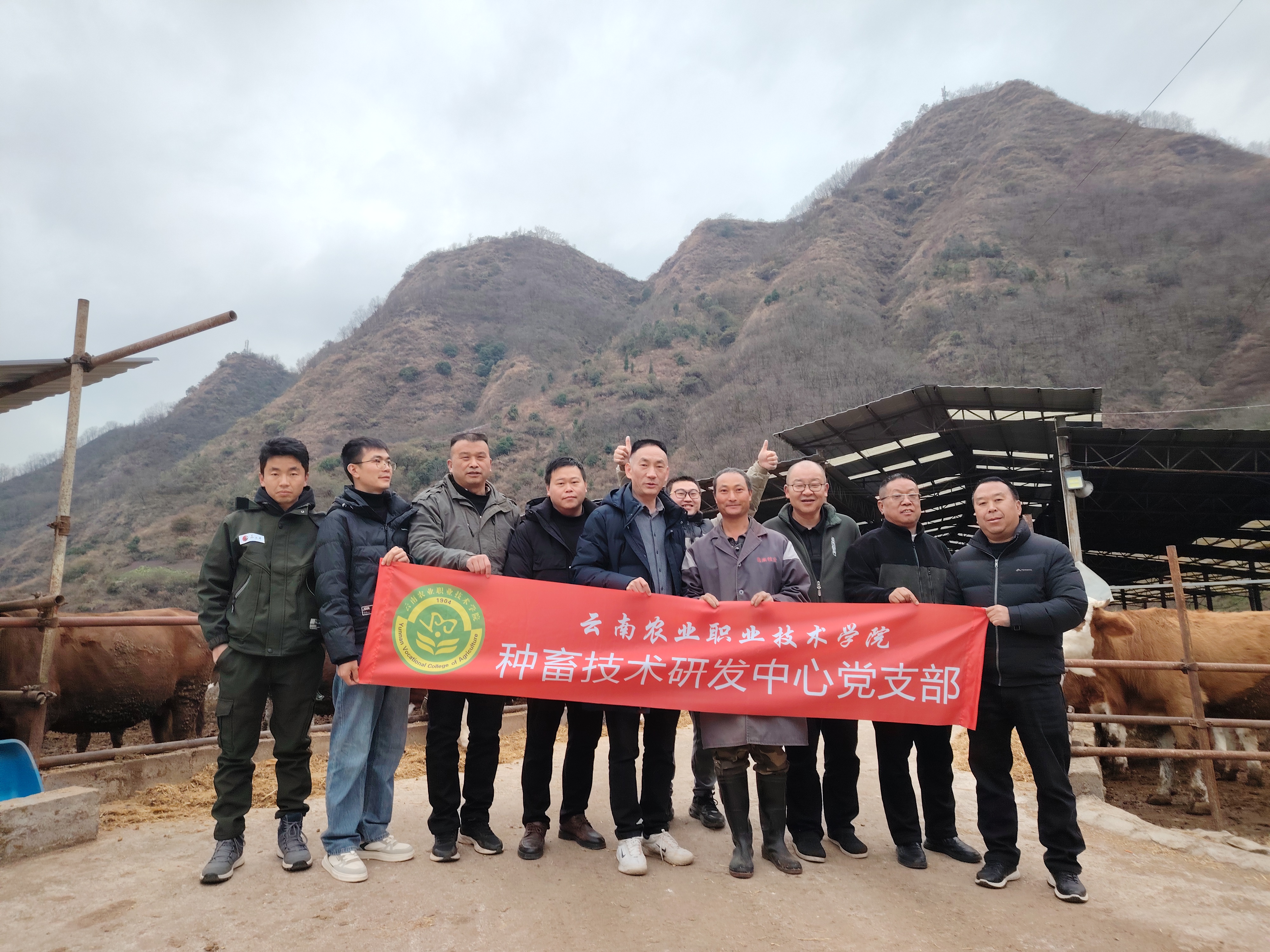 现在调研（四）