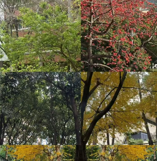 屏幕截图 2026-02-17 141350