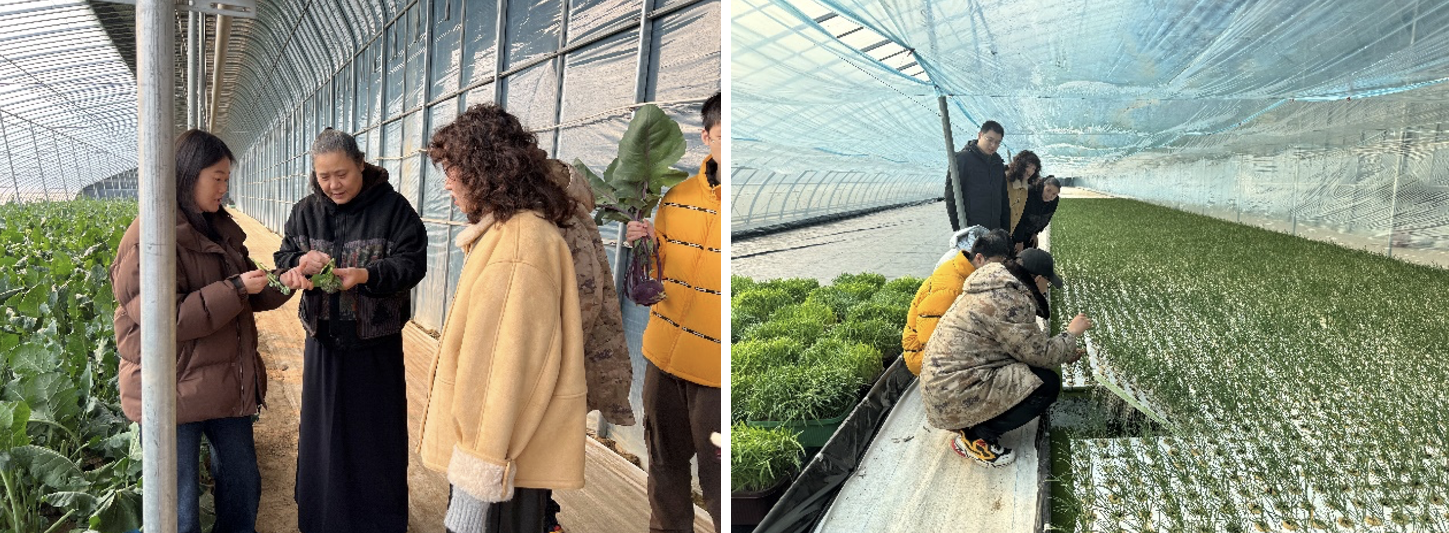 截屏2026-02-18 09.01.23