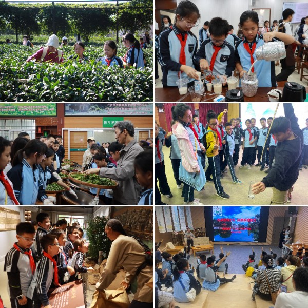 W020251119552912521479 W020251119552912521479