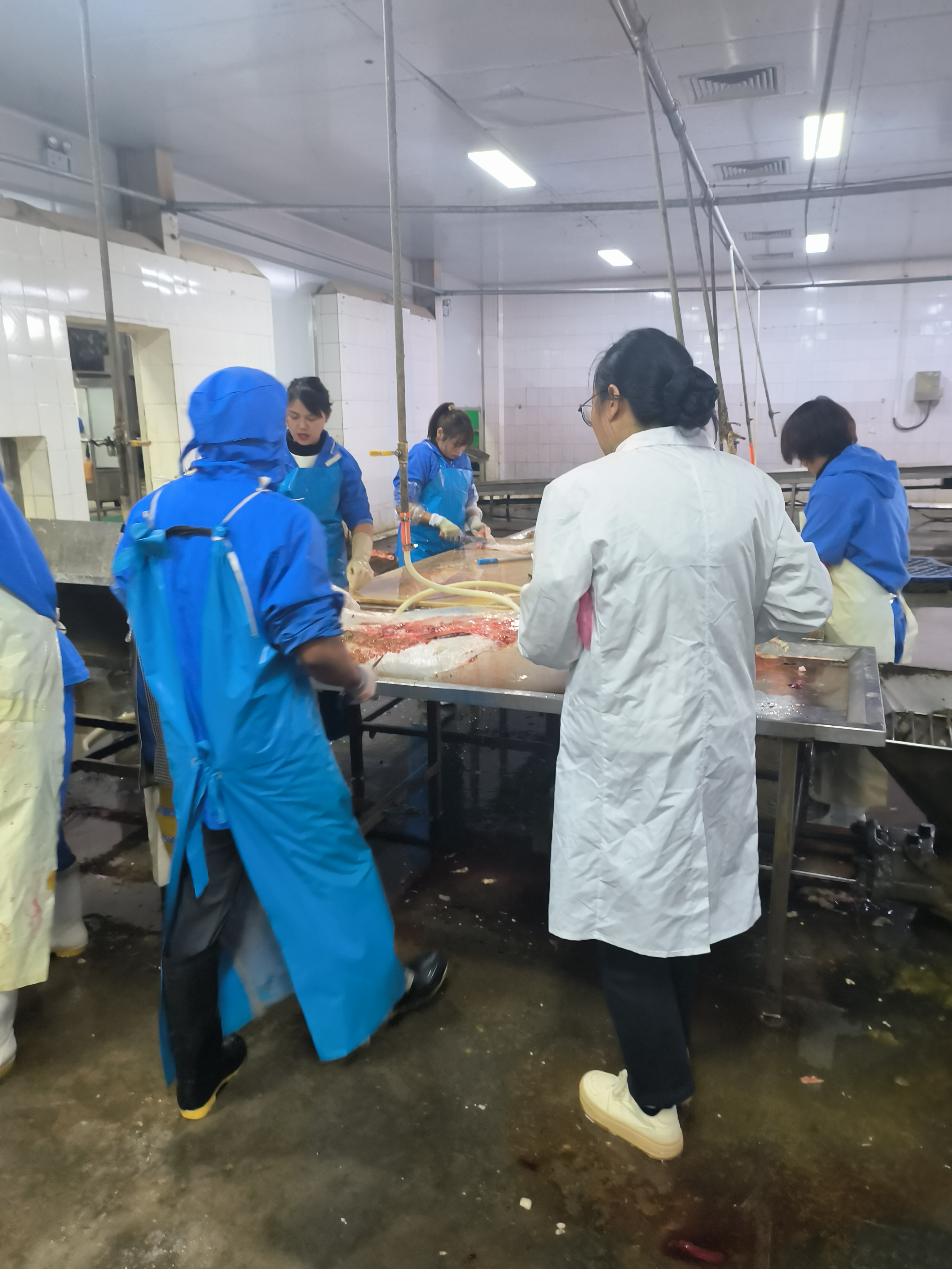 屠宰现场（二）