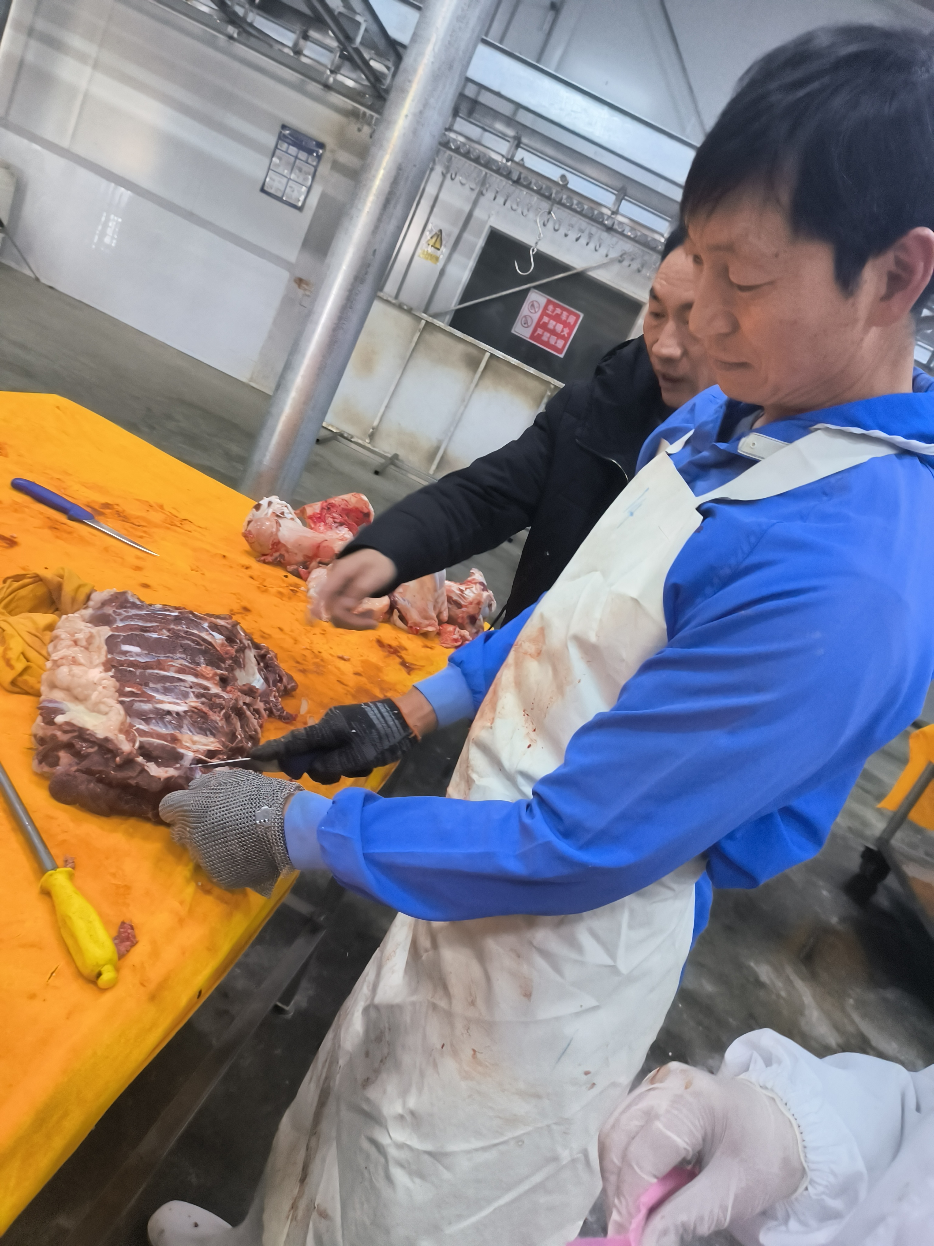 屠宰现场（三）