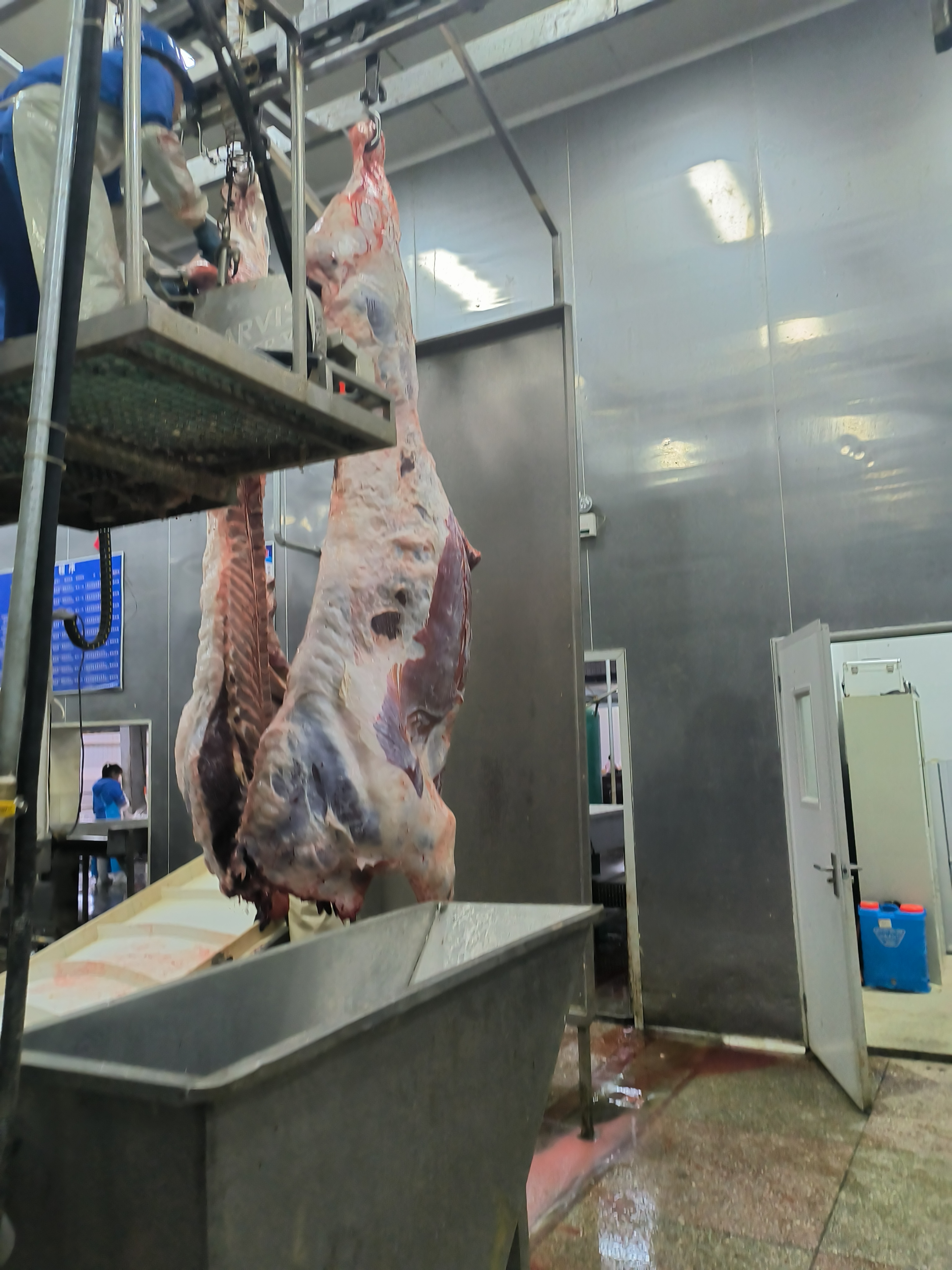 屠宰现场（四）