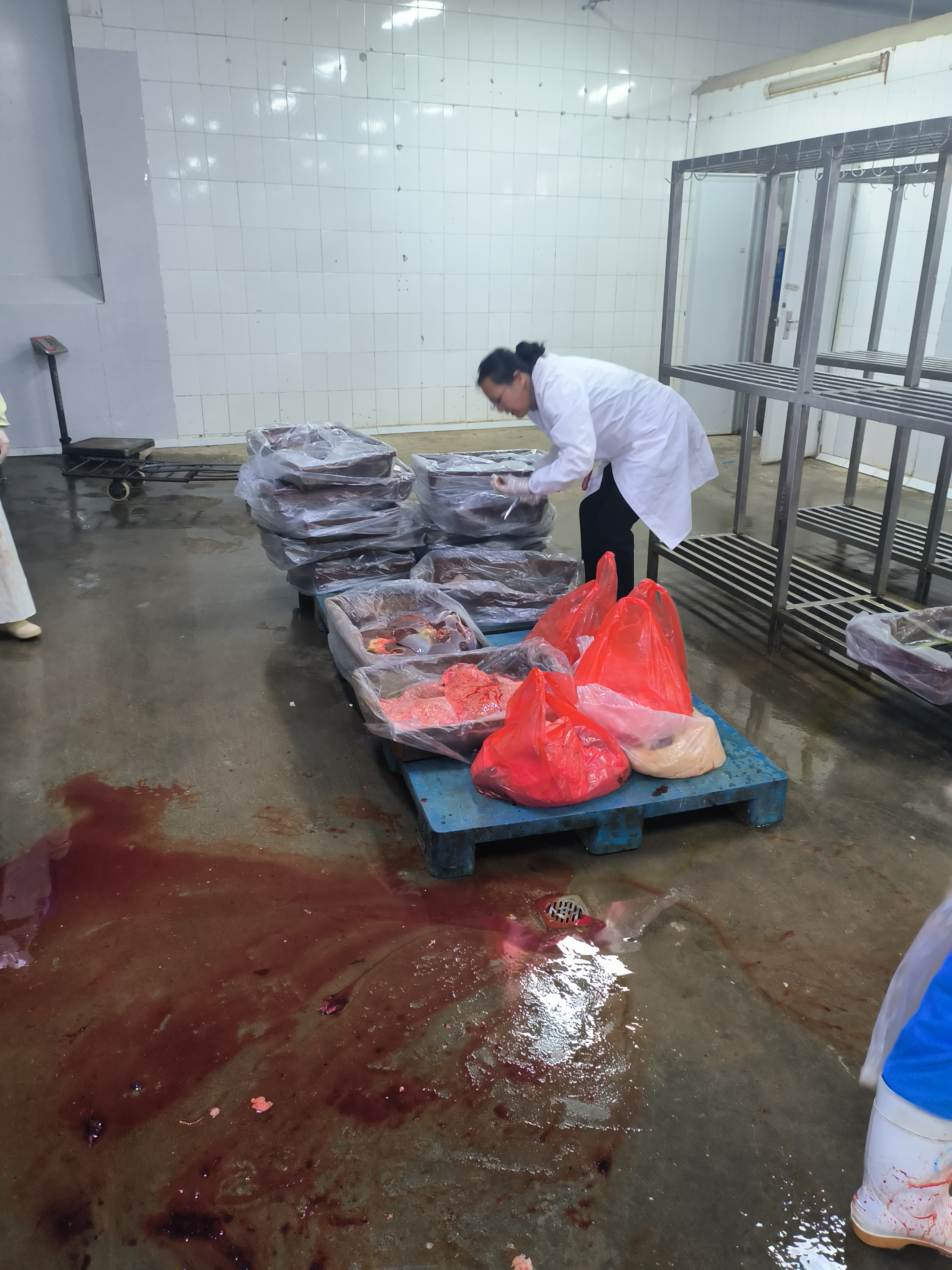 实验取样（二）