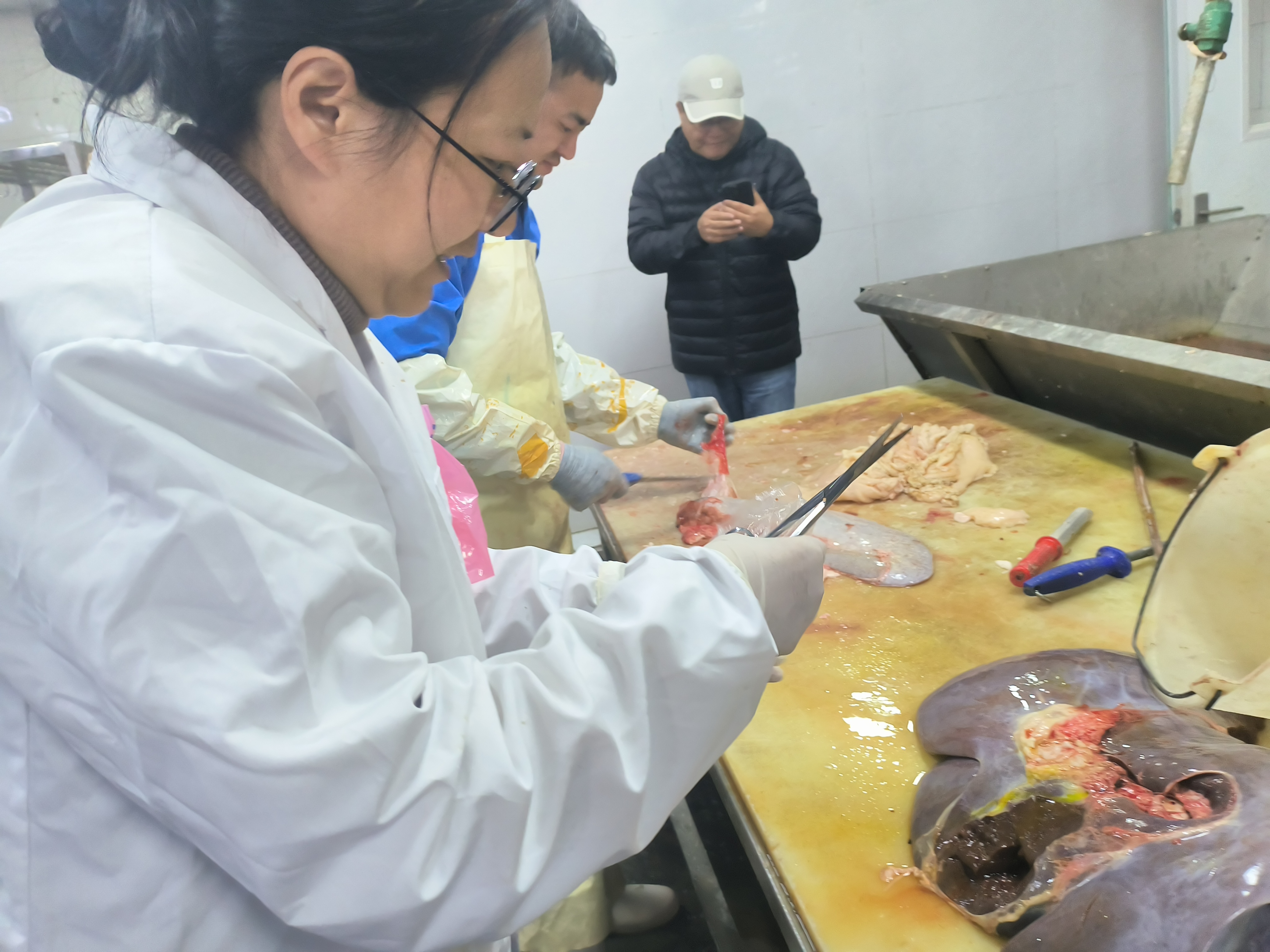 实验取样（一）