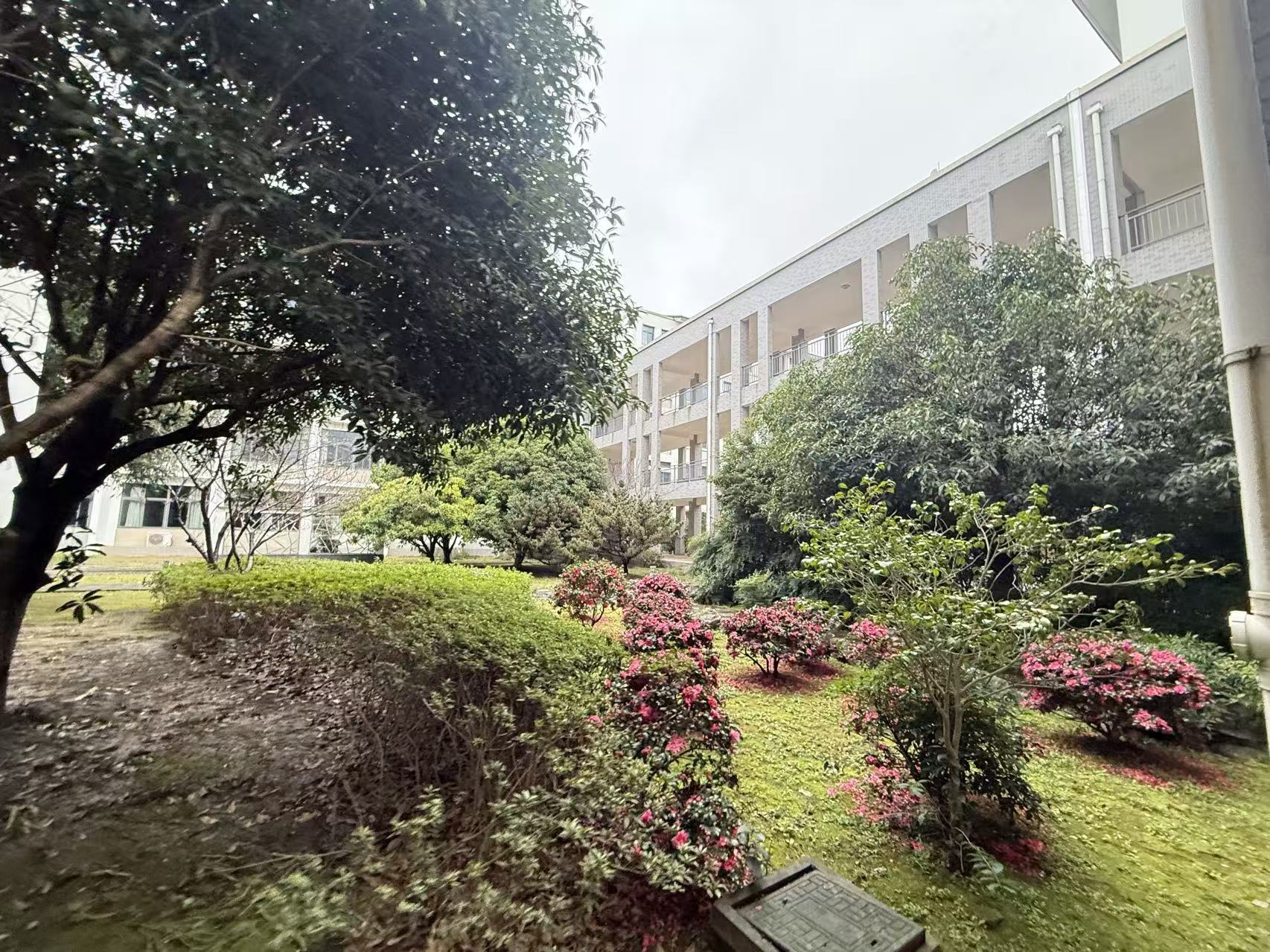 微信图片_20260302082606_835_184