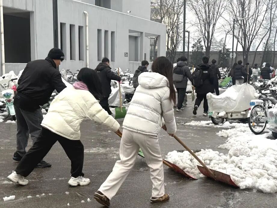 微信图片_2026-03-05_081553_010 微信图片_2026-03-05_081553_010