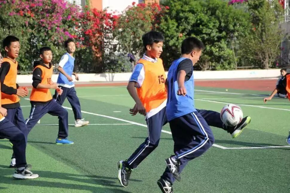 微信图片_2026-03-10_231254_487