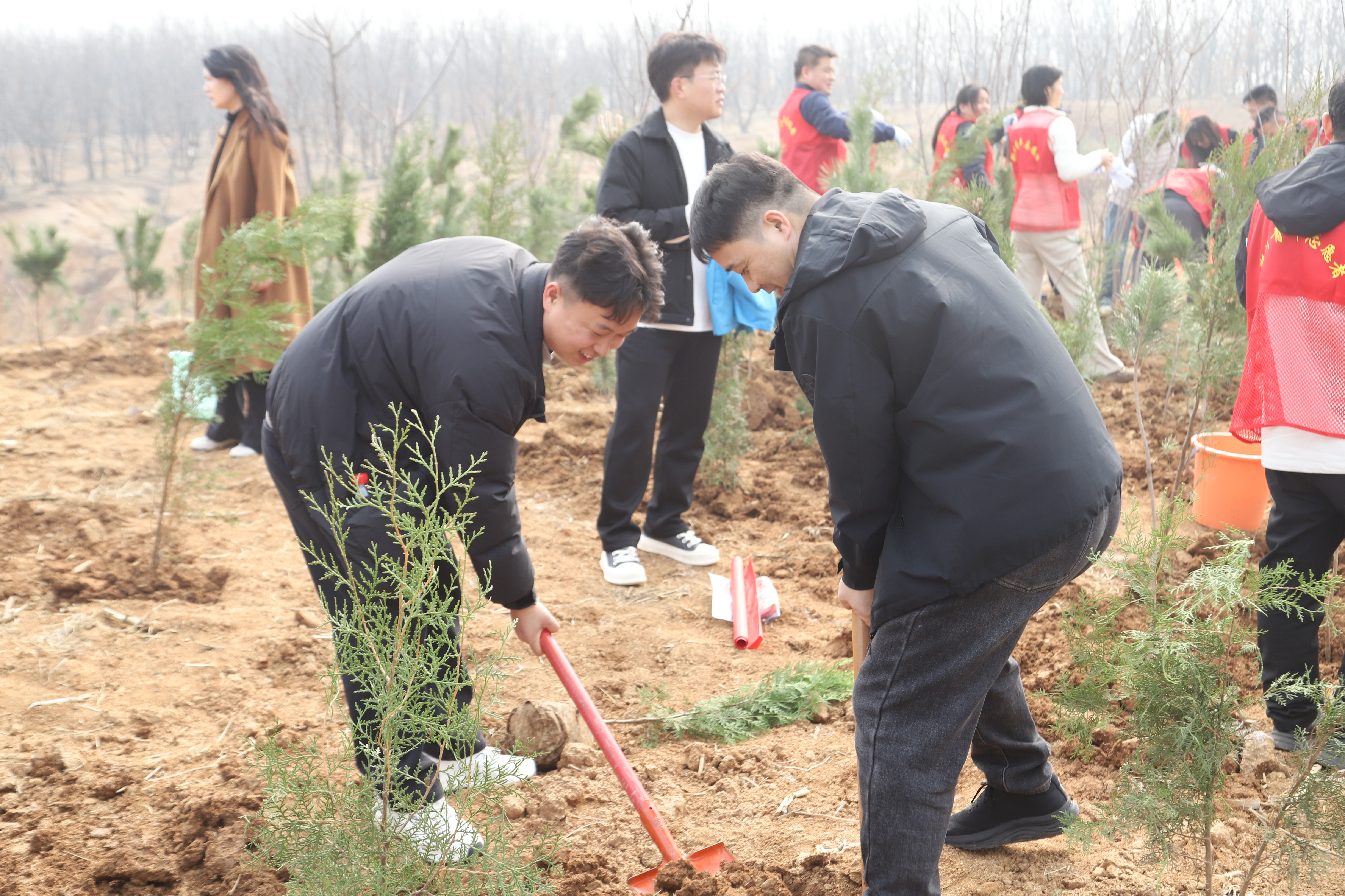 20260311145001_IMG_6016