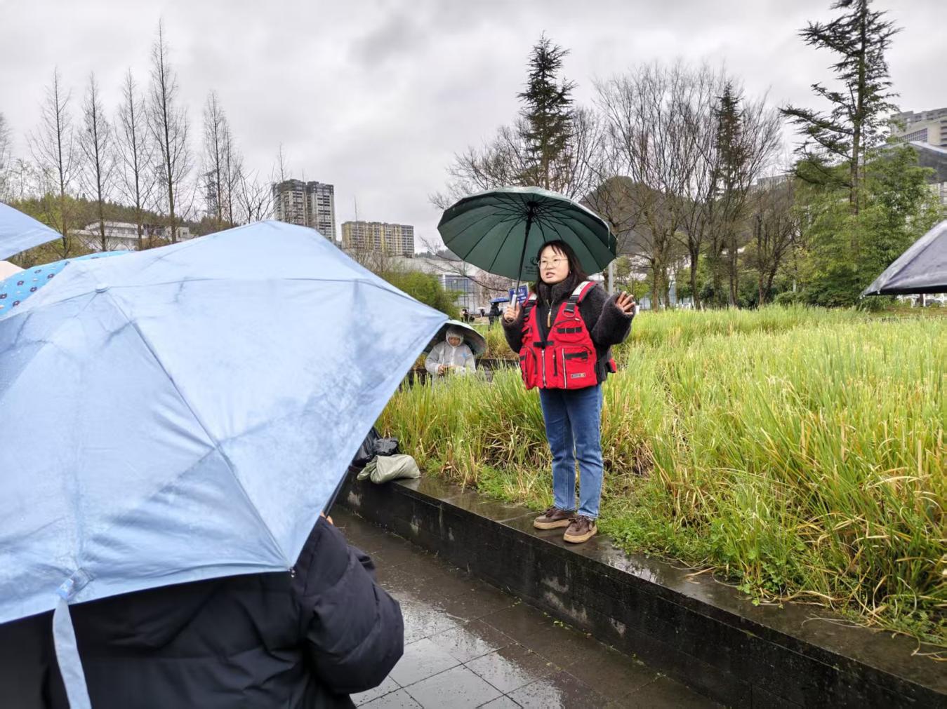 图为余婷同志讲解荷花种植要点