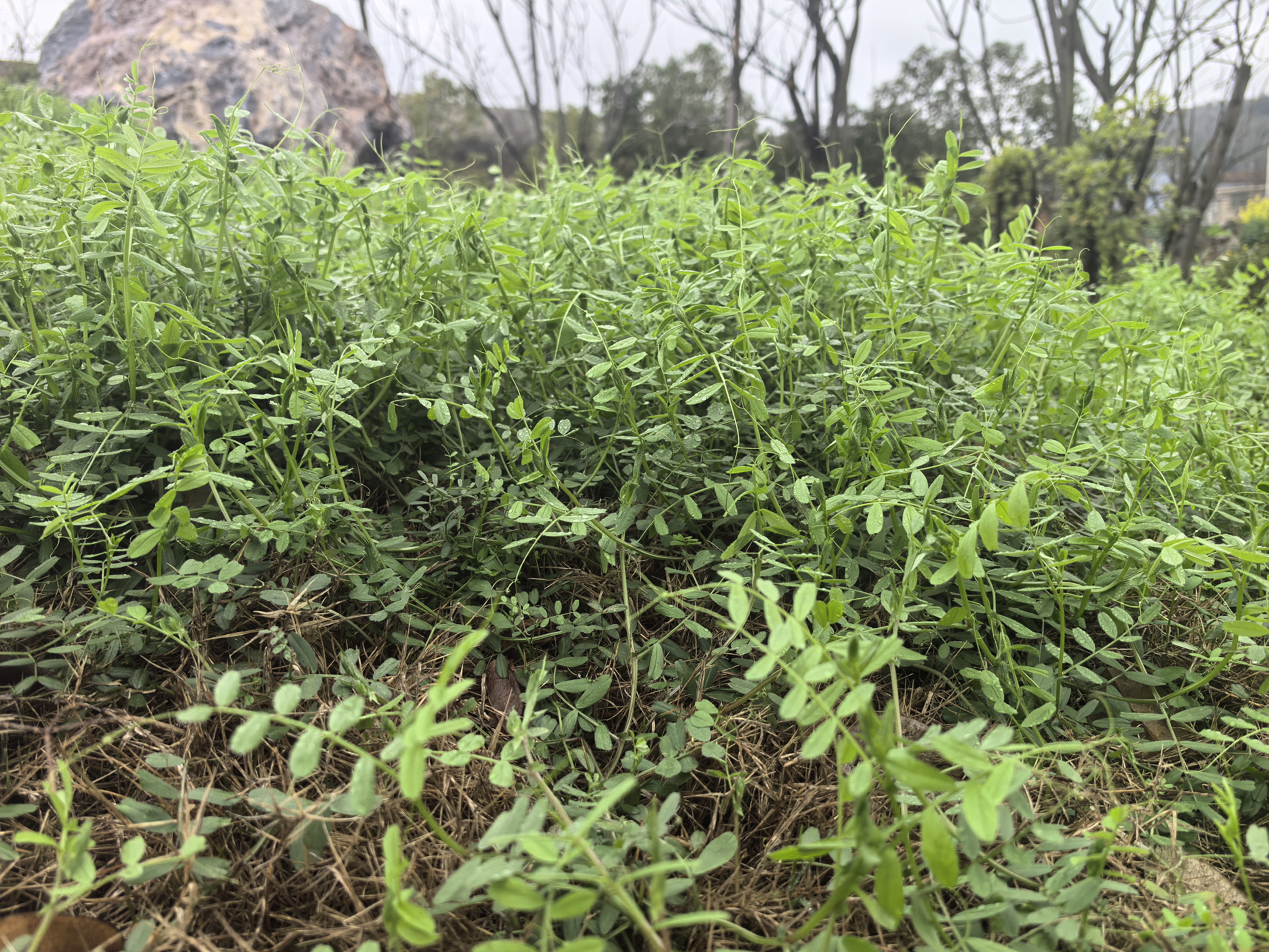 微信图片_20260304152938_411_142