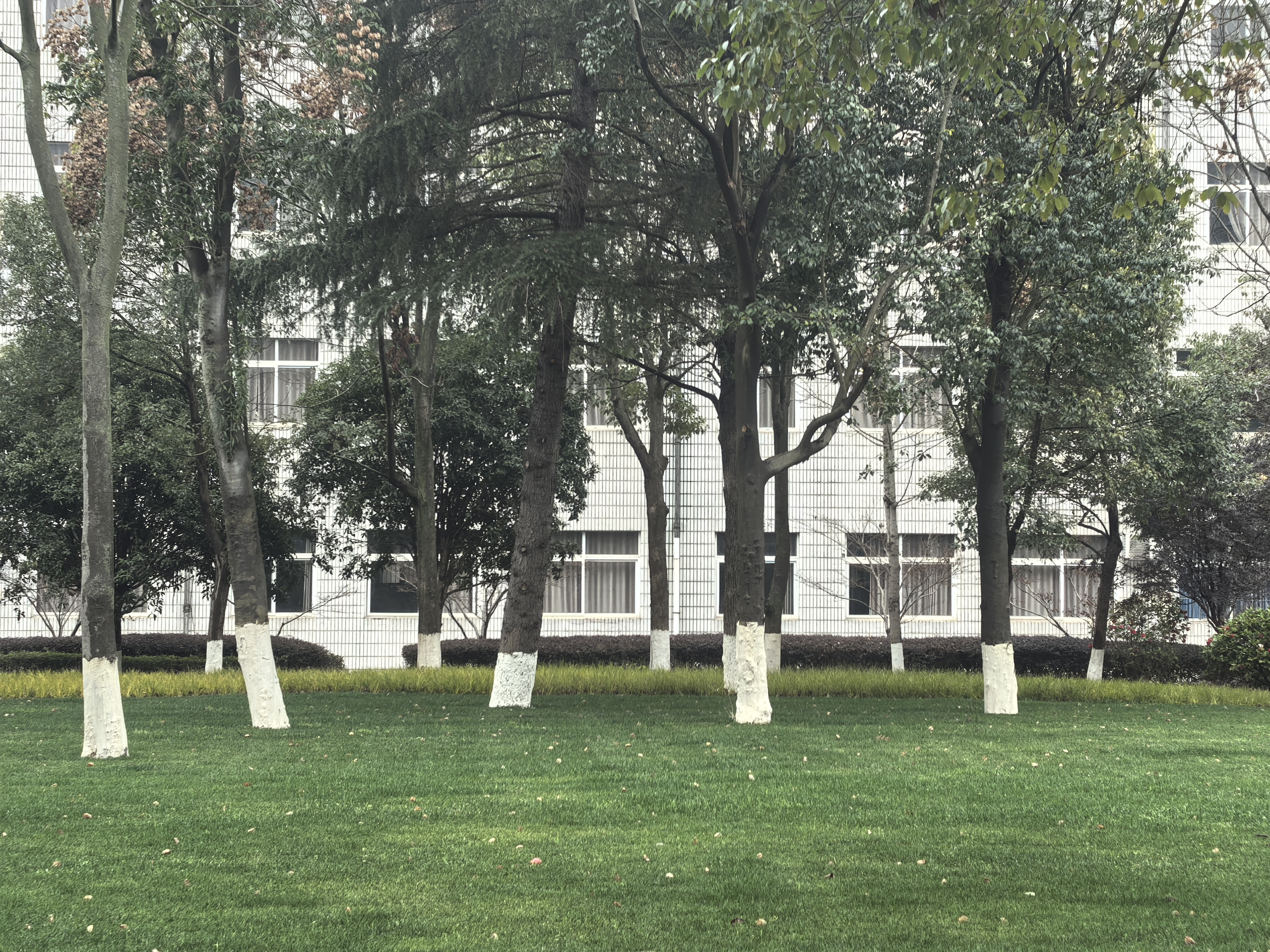 微信图片_20260304152946_415_142