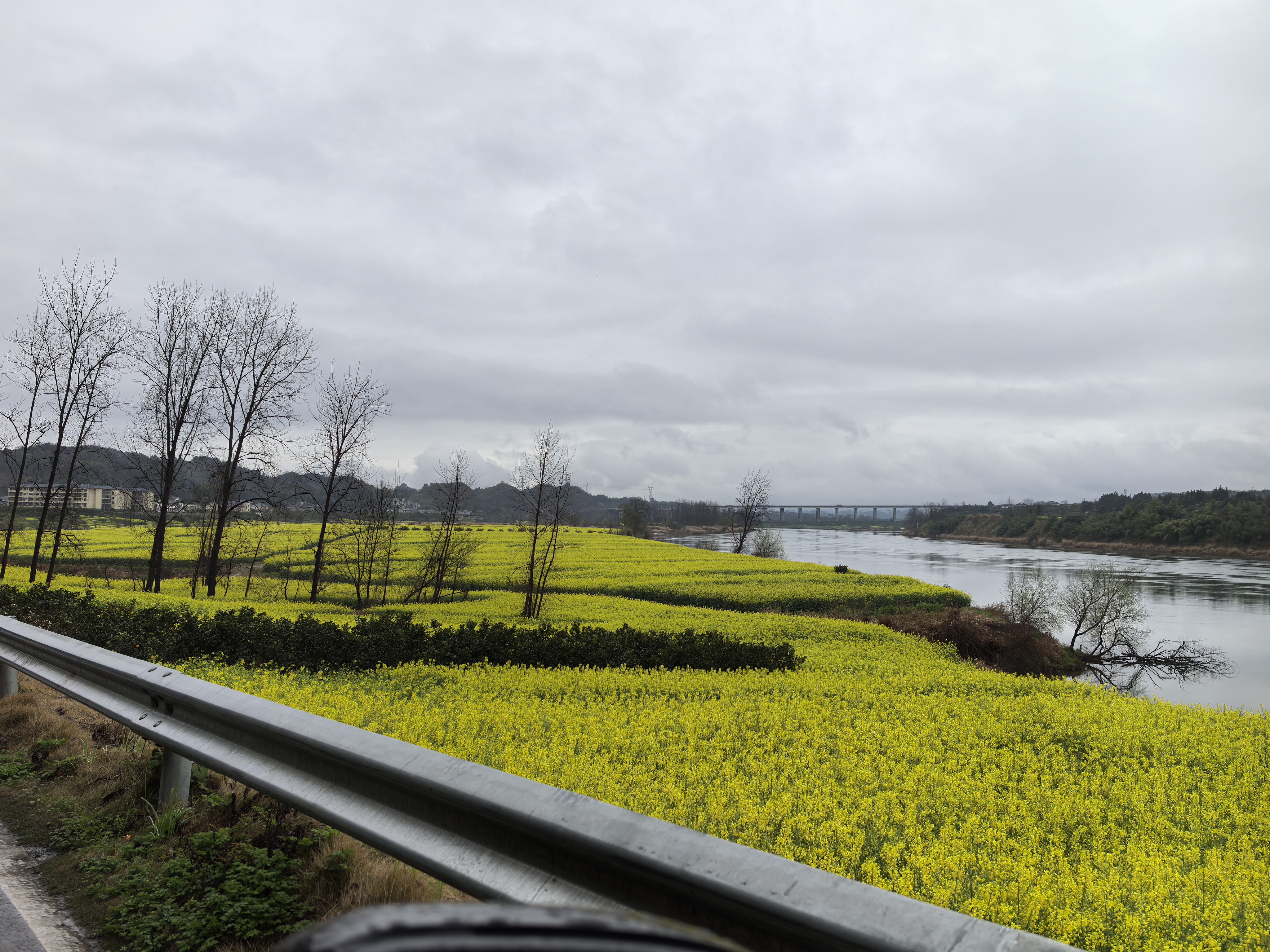 微信图片_20260313141509_444_142