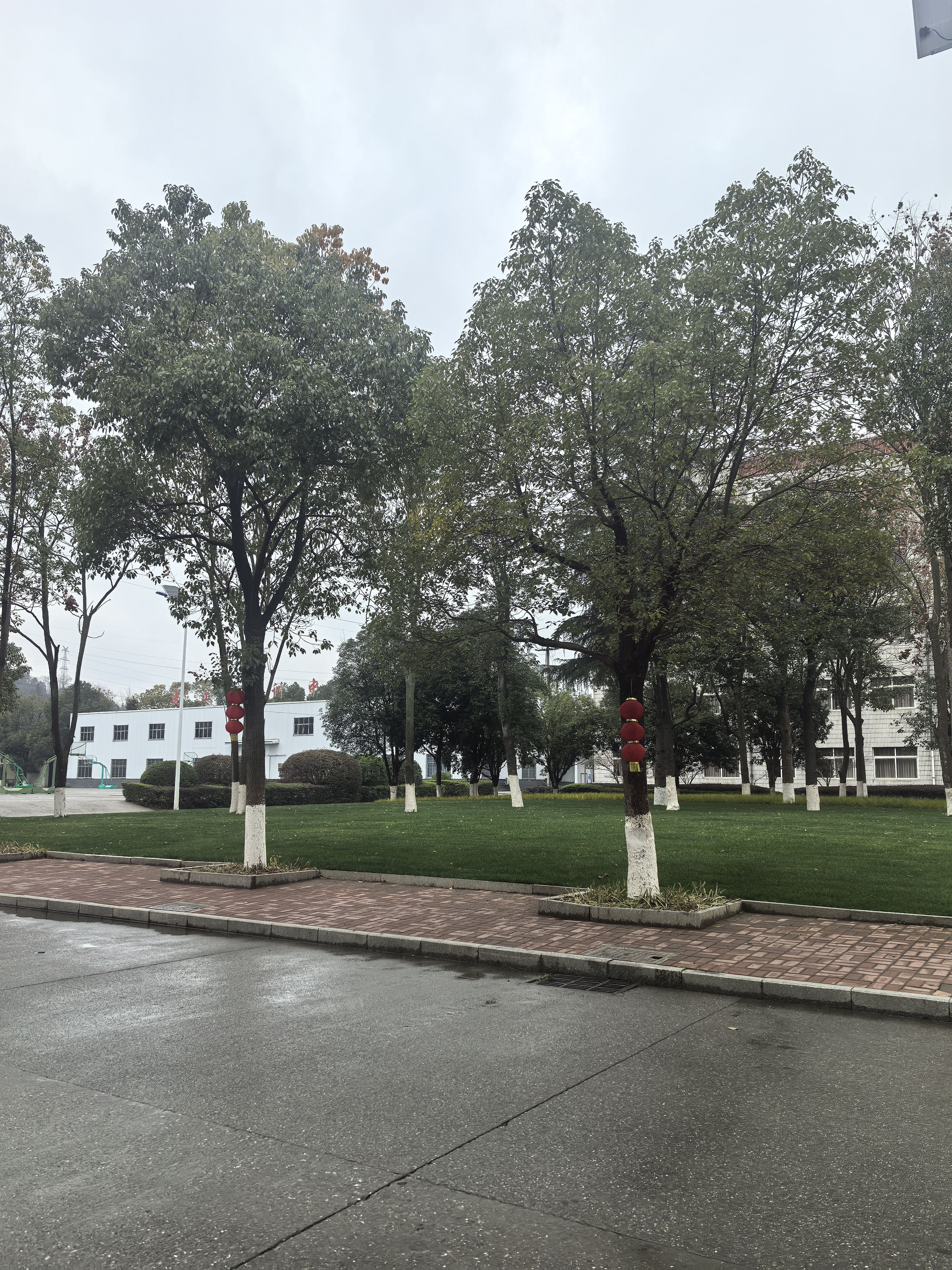 微信图片_20260304152947_416_142