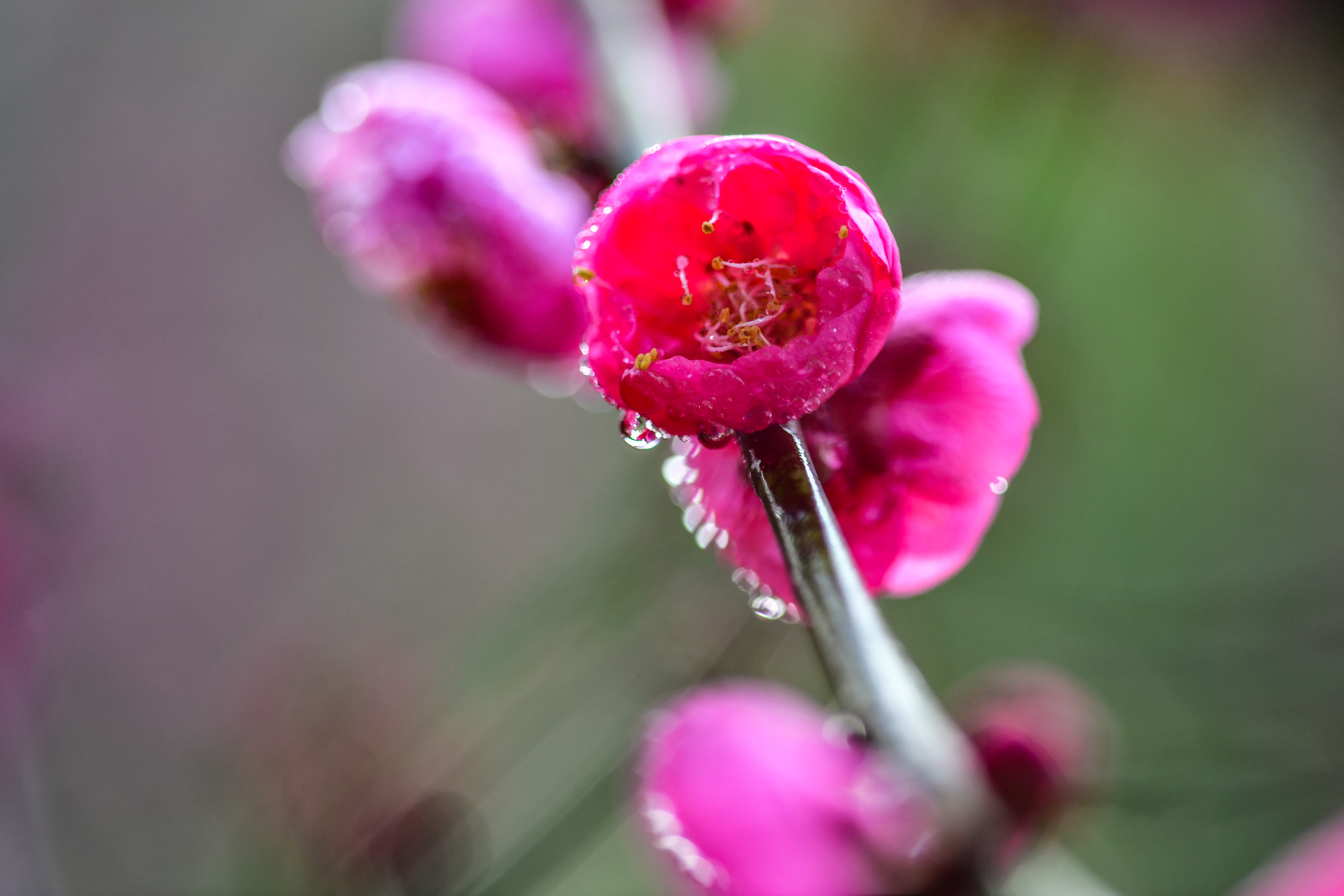 微信图片_20260119082914_380_142