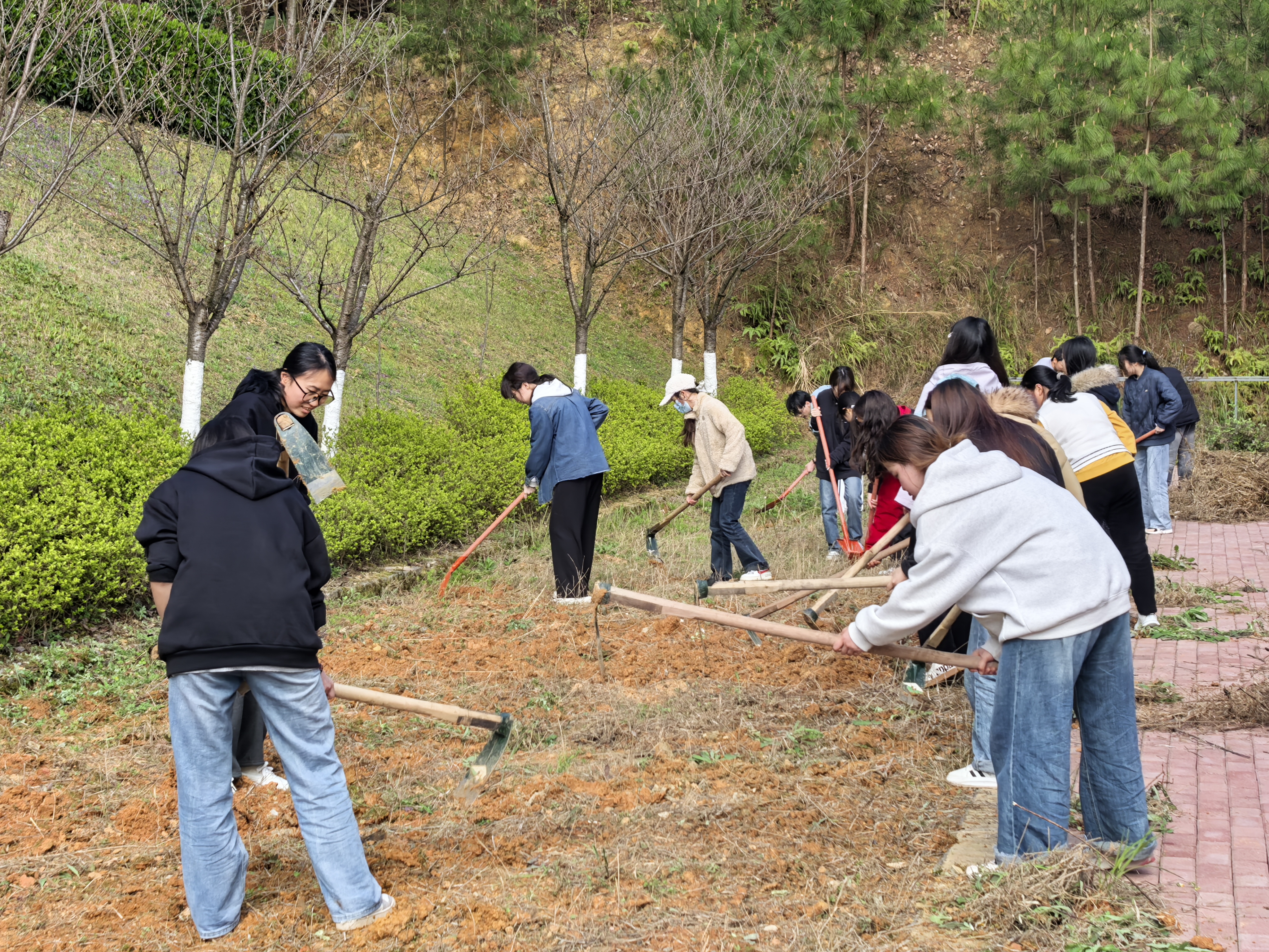 DC81AC535309AAB6BE65E4D70259C47D