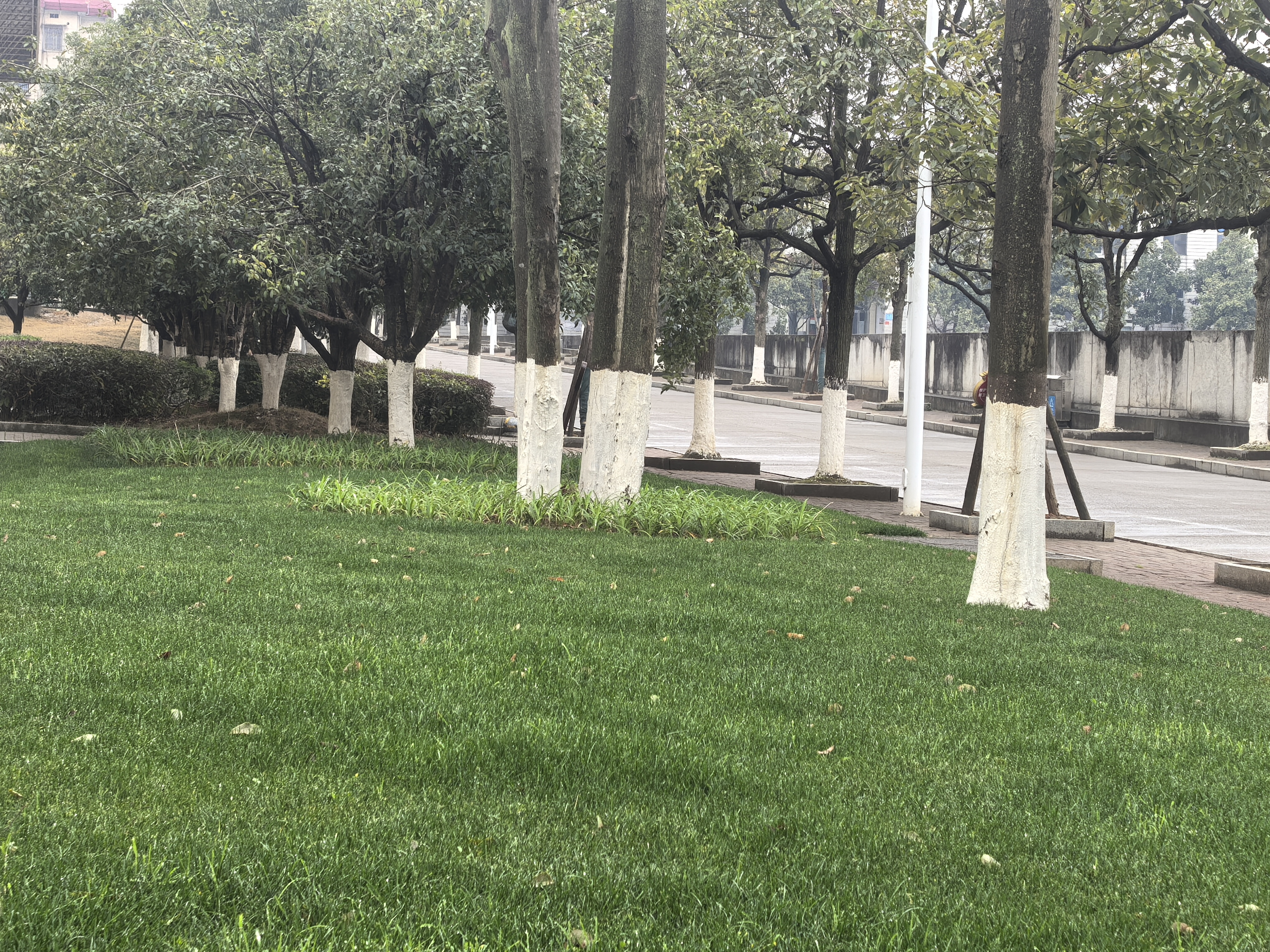 微信图片_20260304152944_414_142