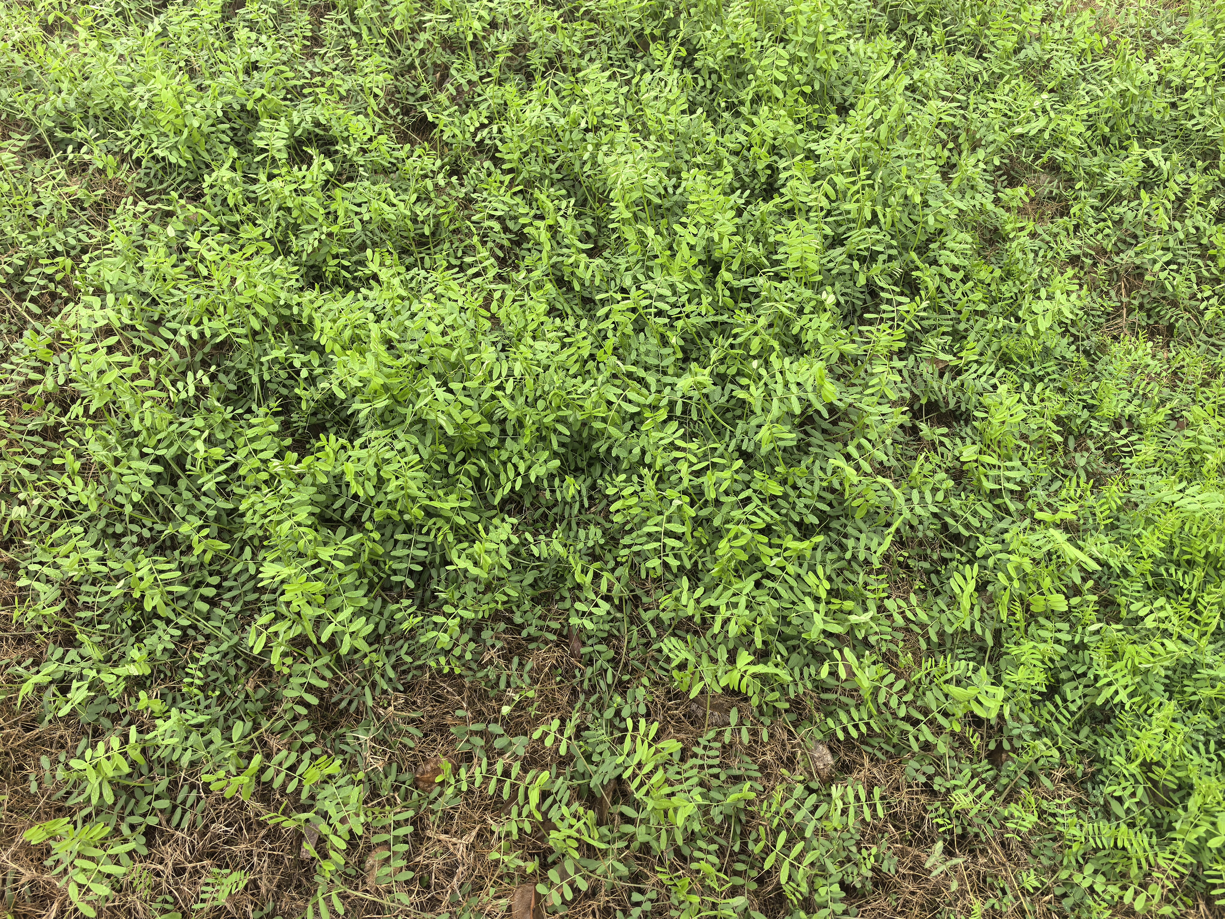 微信图片_20260304152942_413_142