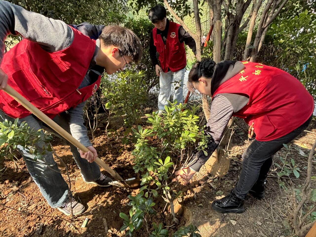 微信图片_20260313174127_929_231