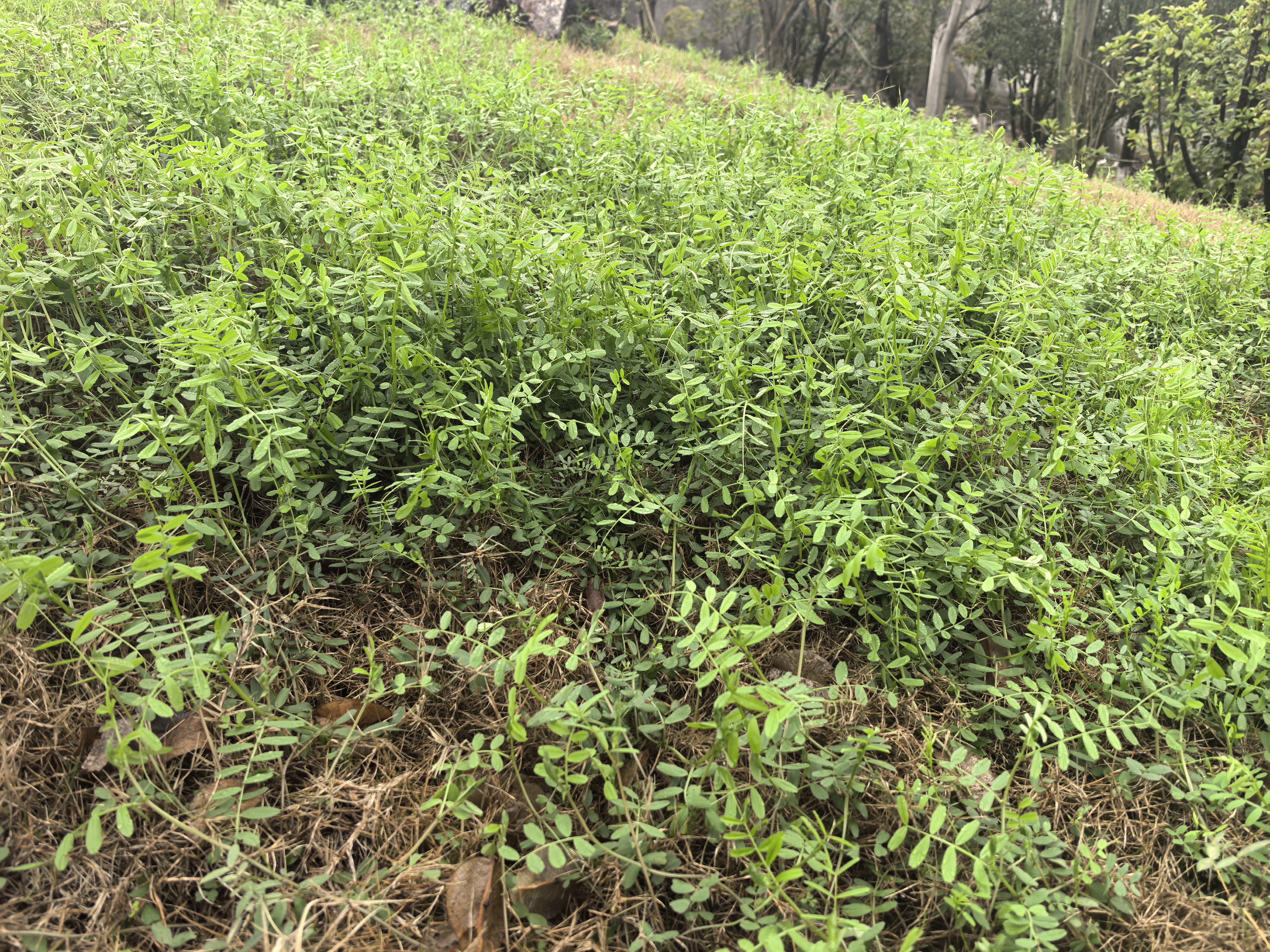 微信图片_20260304152940_412_142