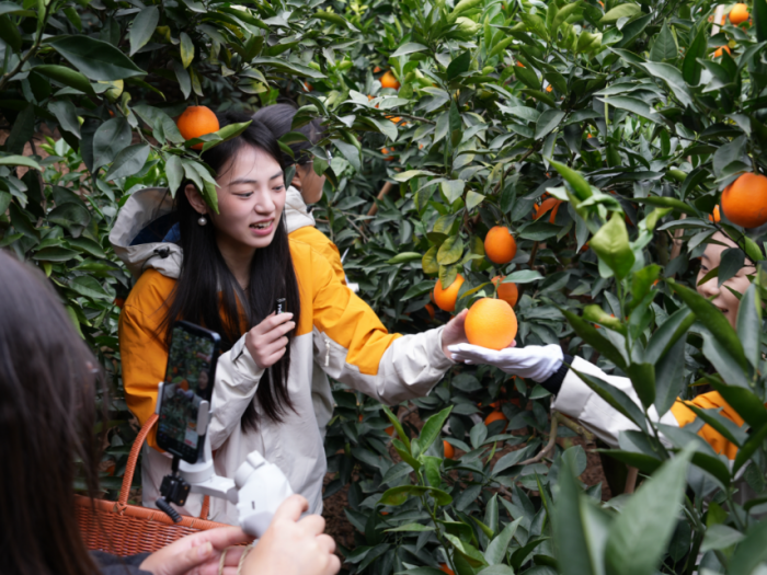 微信图片_2026-03-14_233529_453