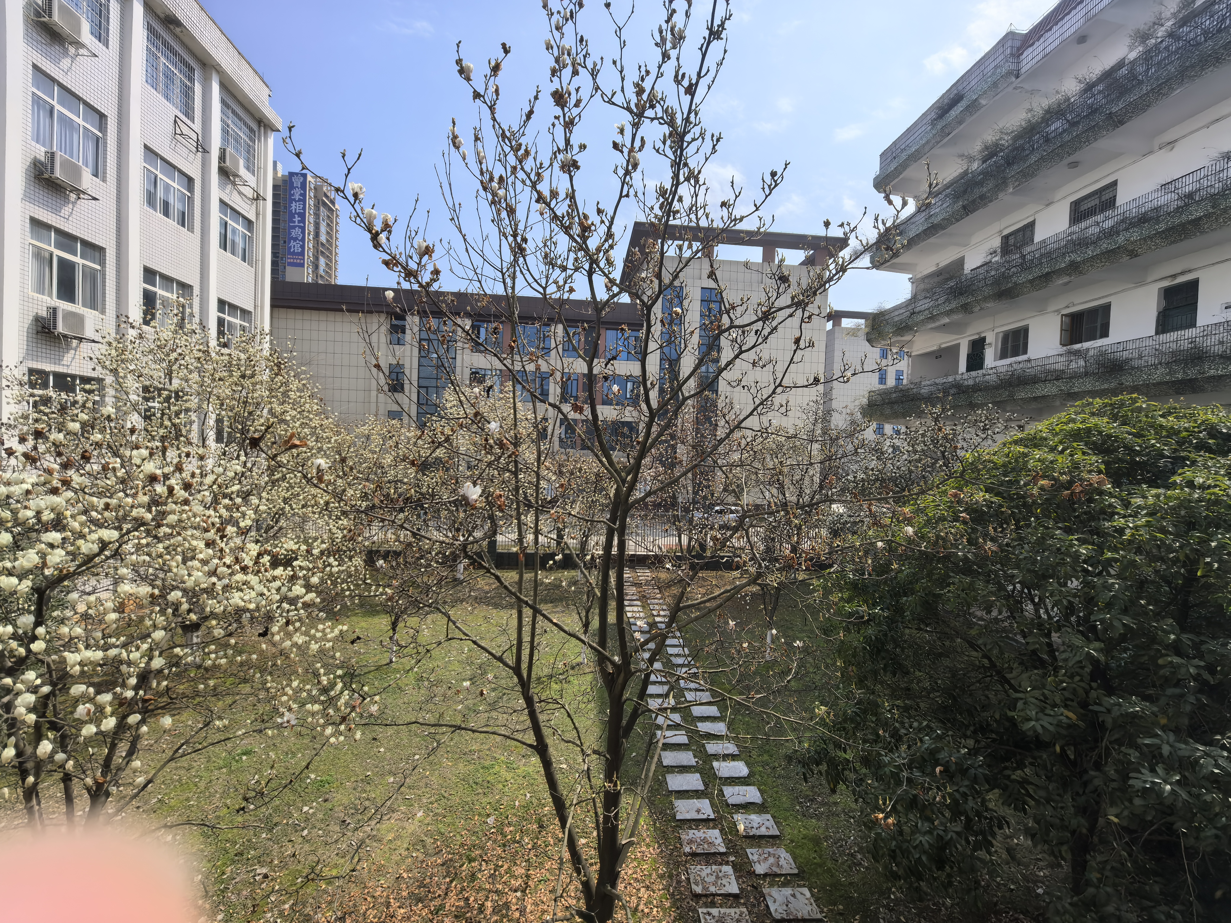 微信图片_20260313141511_445_142