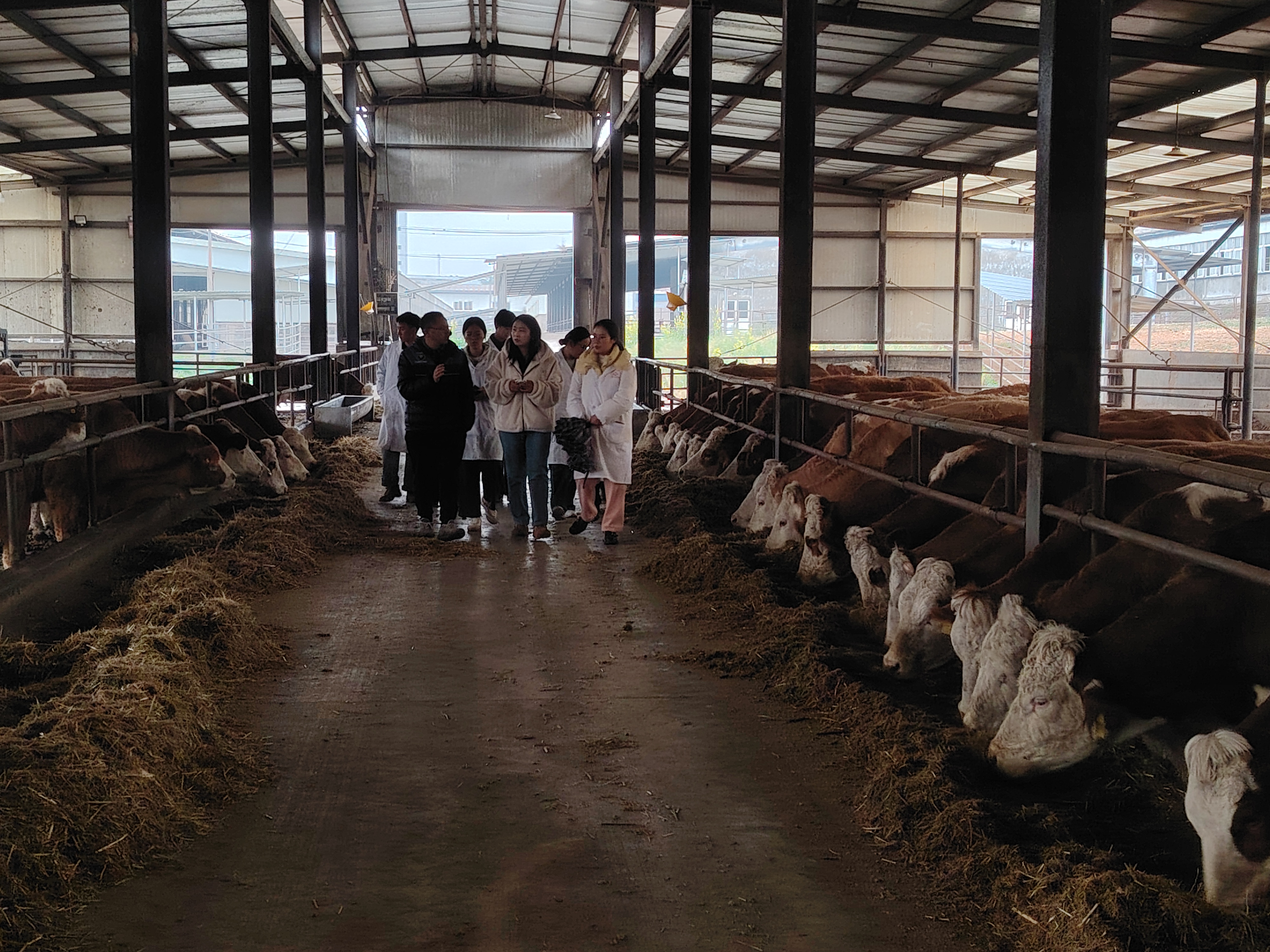 实训现场（一）