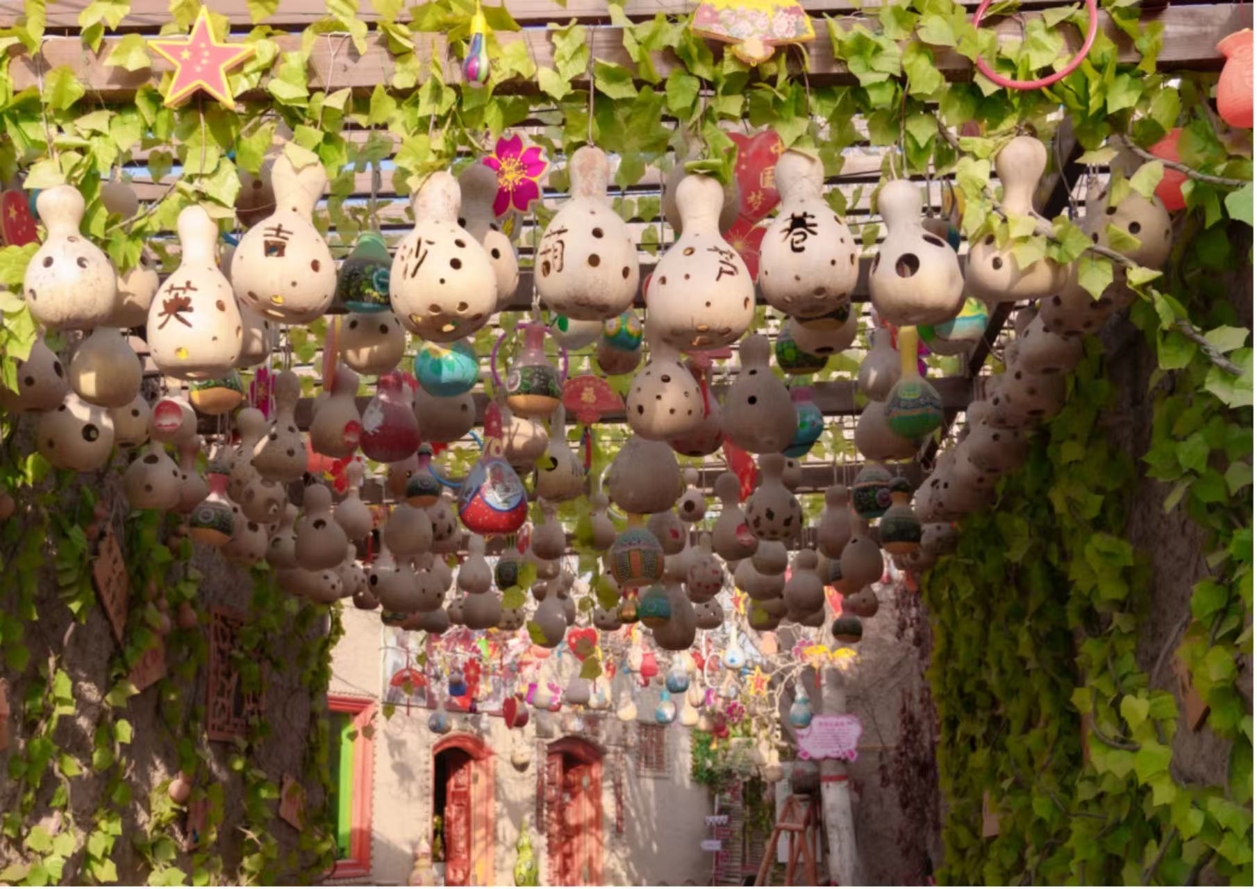 微信图片_20260319215513_618_5