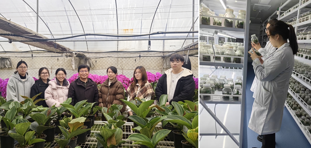 现场照片 现场照片