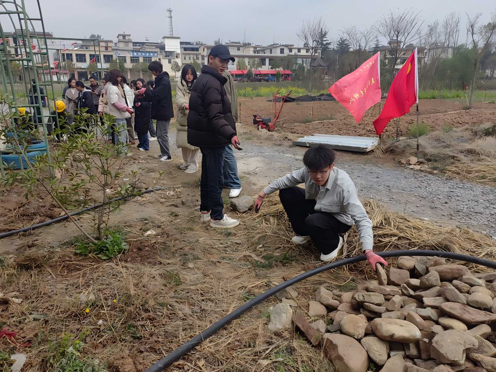 张安屯开展助力乡村振兴实践活动 张安屯开展助力乡村振兴实践活动