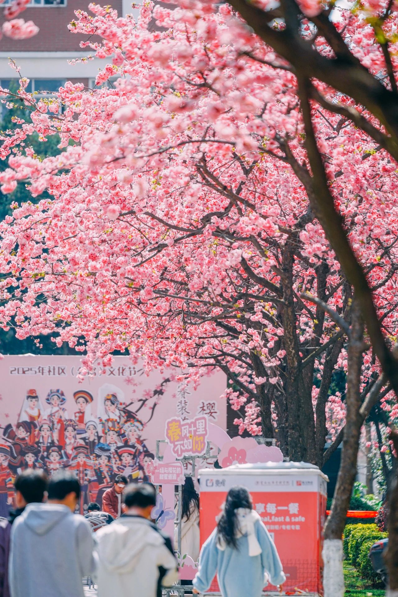 1威威.jpg
