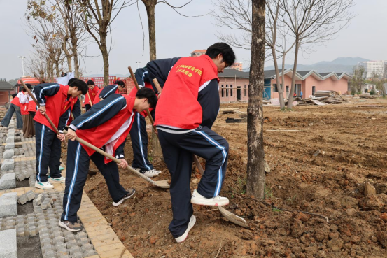 图片2.png