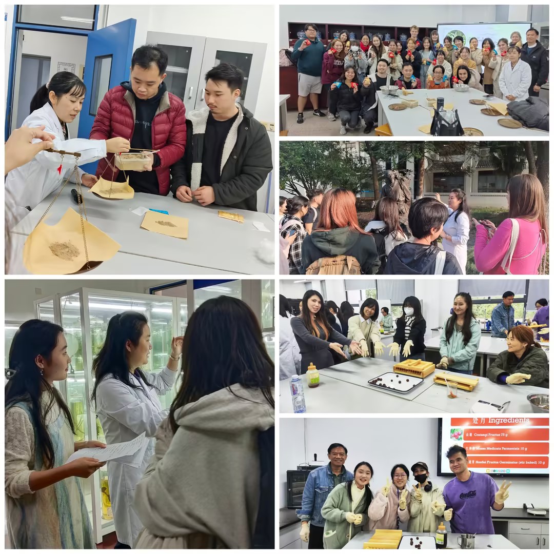 国际留学生沉浸式体验中药魅力——苏州大学国际留学生参加中药科普馆系列活动.jpg