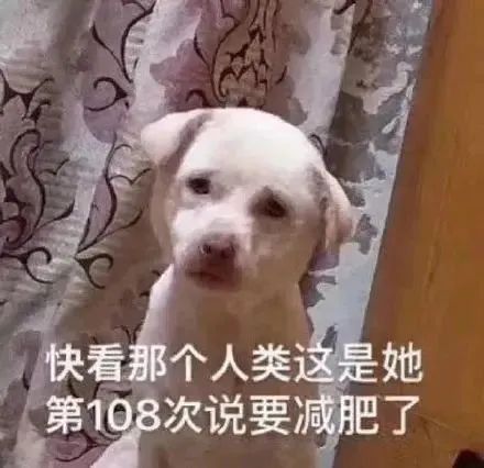 微信图片_20250319112428.jpg