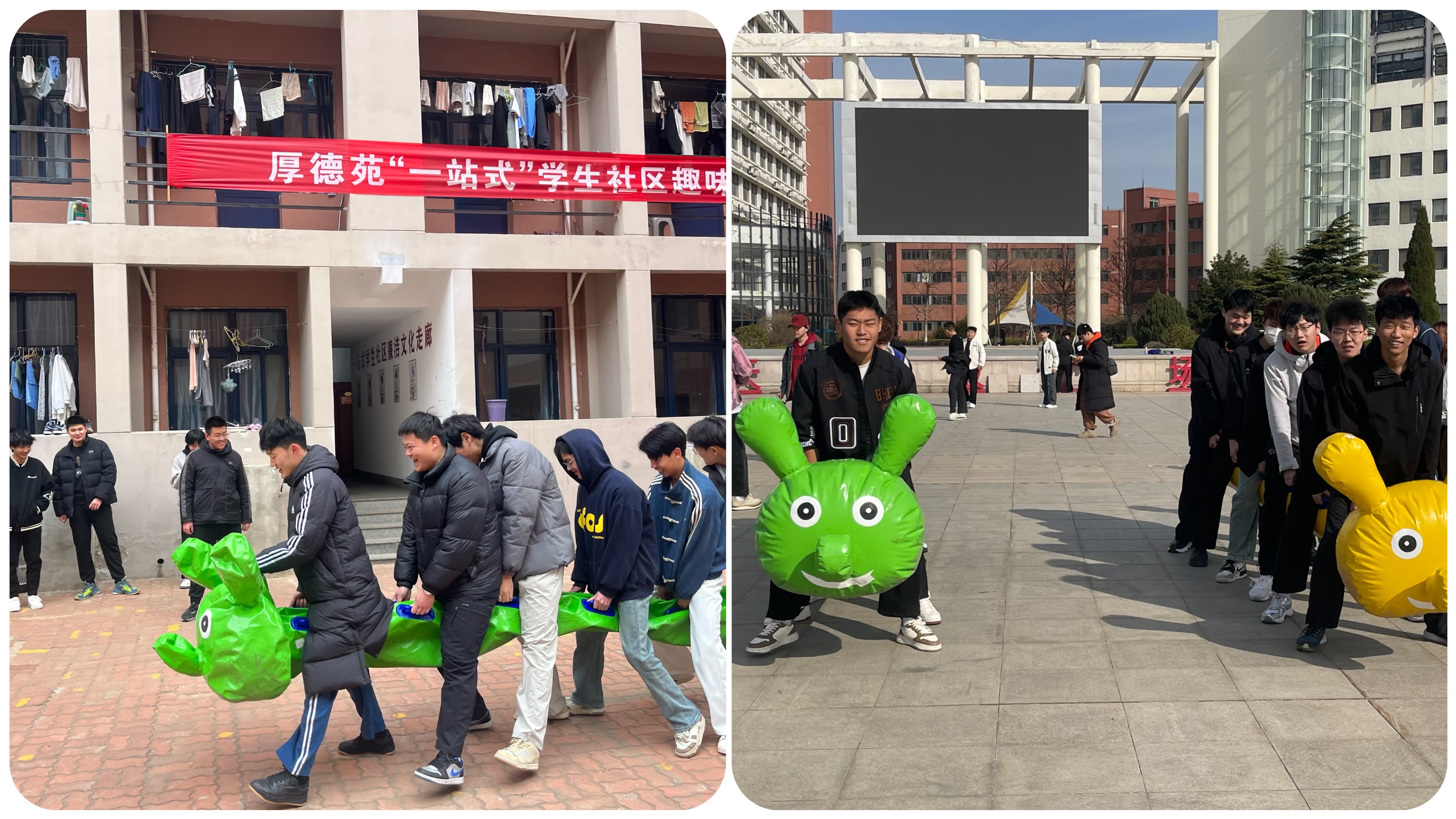 4.毛毛虫比赛.JPG