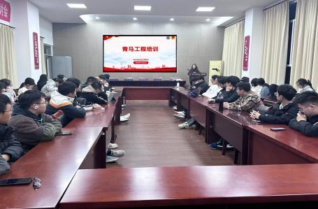 青马1.png