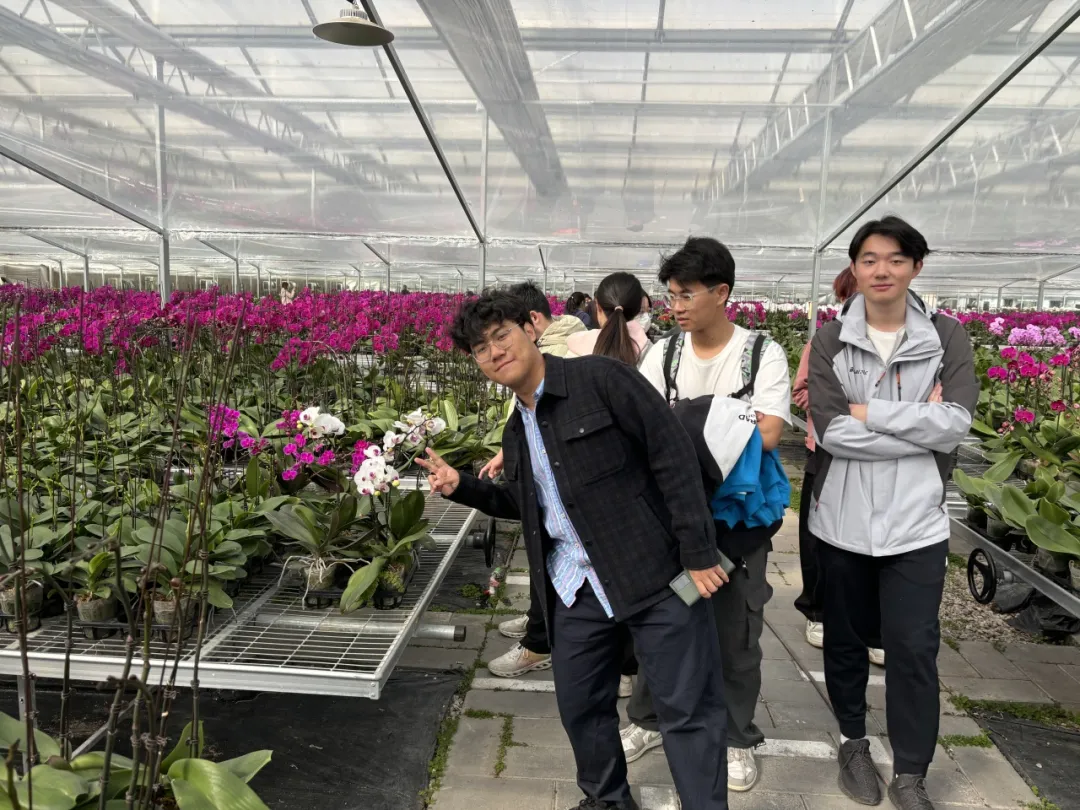 图片60.png 图片60.png