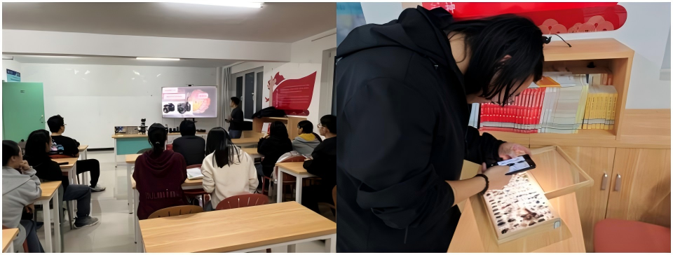 WPS拼图0.png