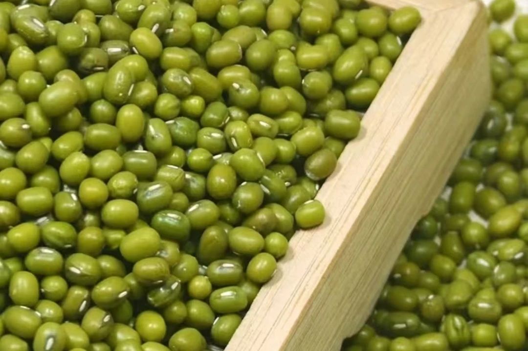 微信图片_20250326163550.jpg 微信图片_20250326163550.jpg