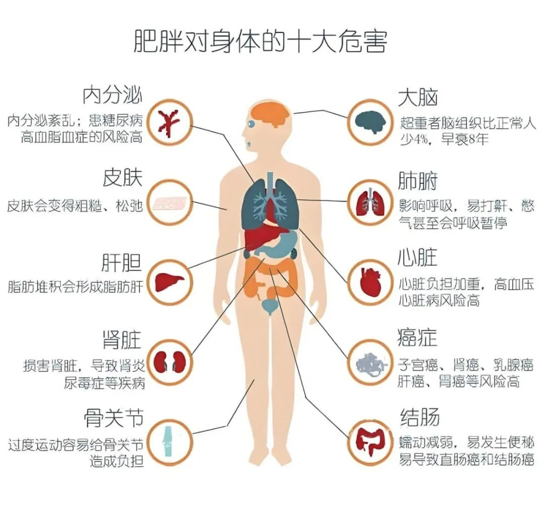 图片88.png