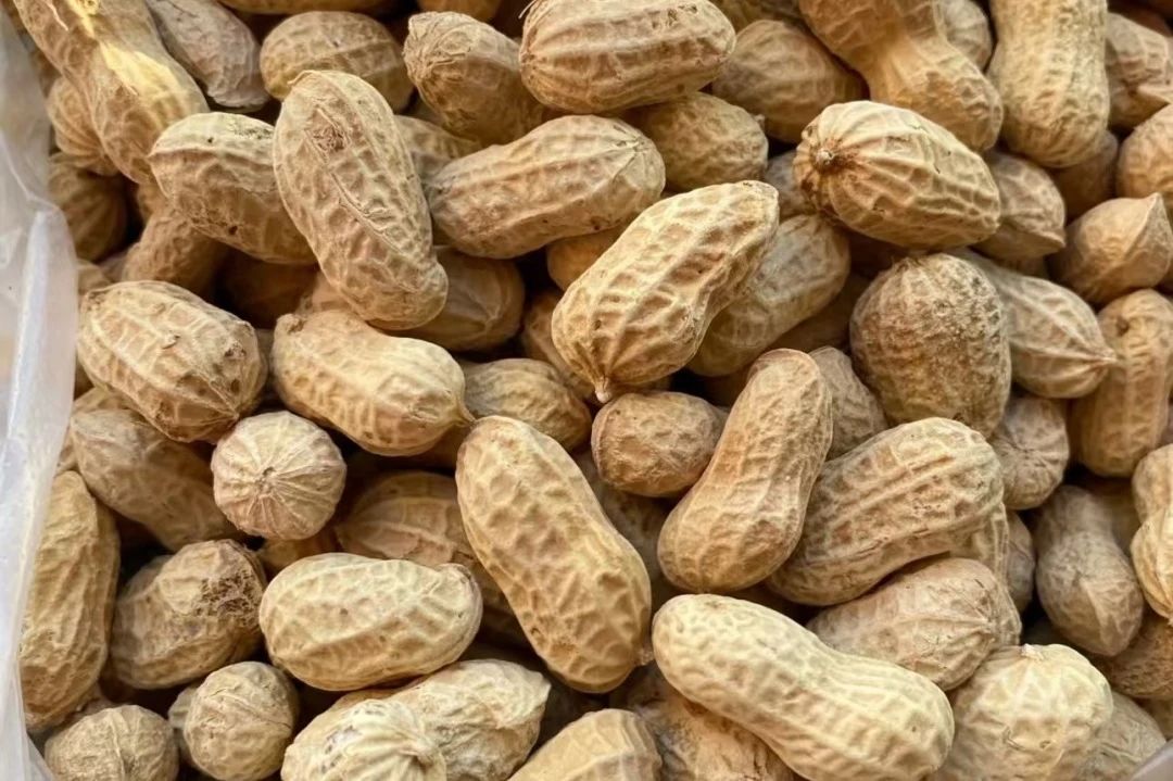 微信图片_20250326163540.jpg 微信图片_20250326163540.jpg