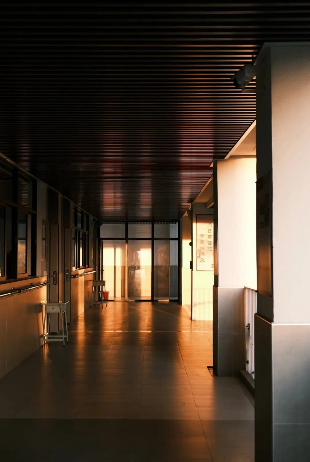 20-250316204A9263.jpg