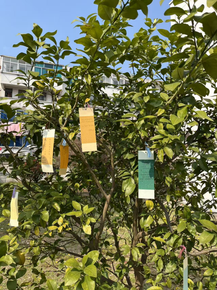 微信图片_20250328143755.png 微信图片_20250328143755.png